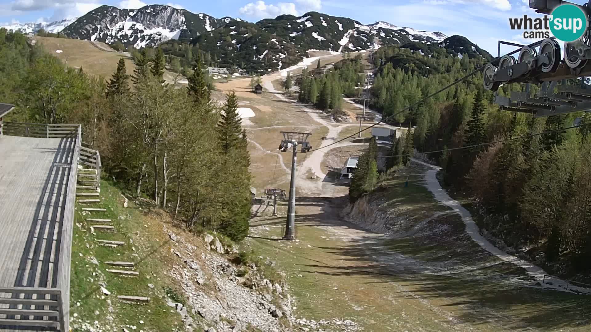 Vogel webcam en vivo – Brunarica – Eslovenia