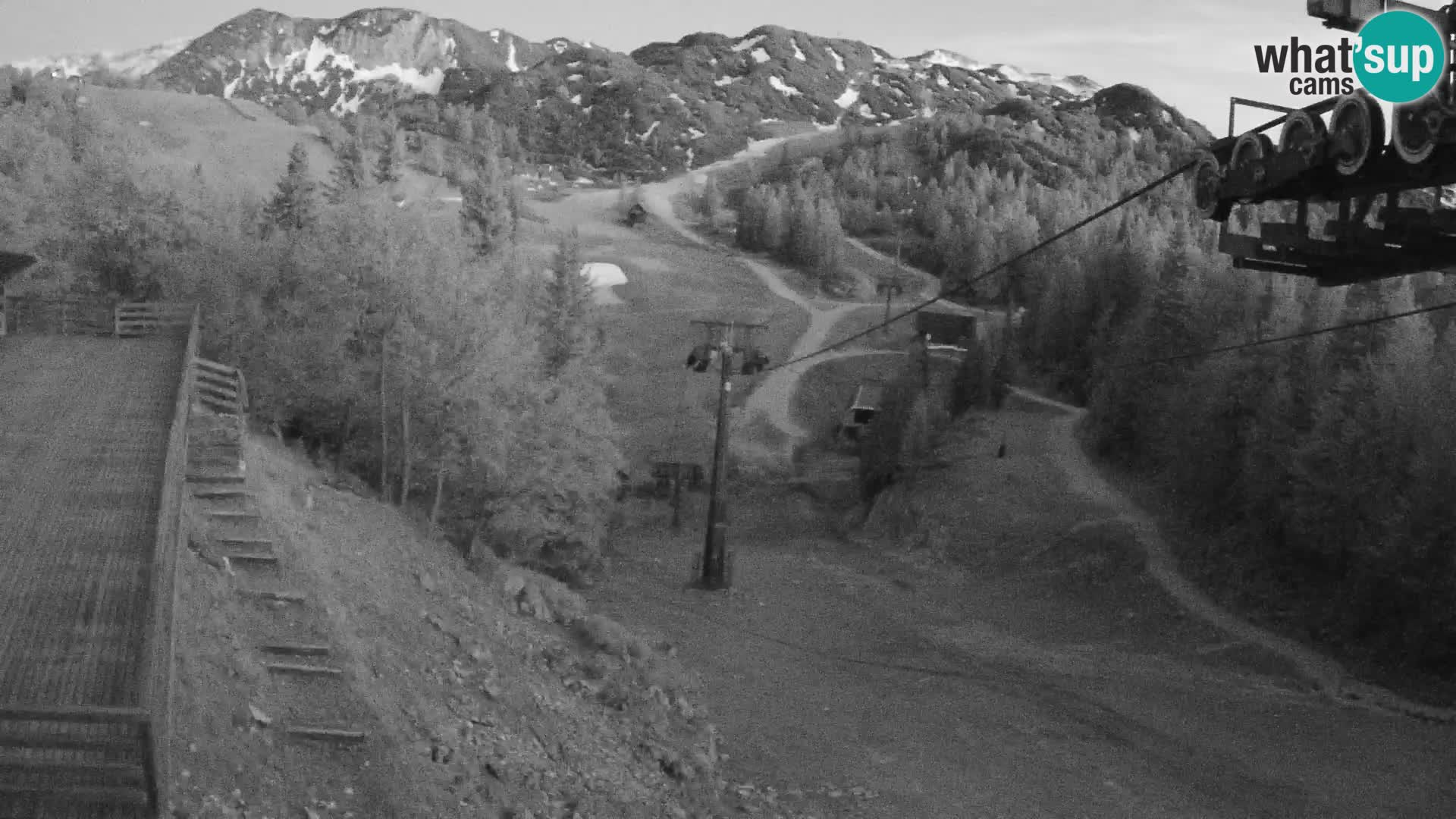 Vogel webcam livecam – Brunarica – Slovenia