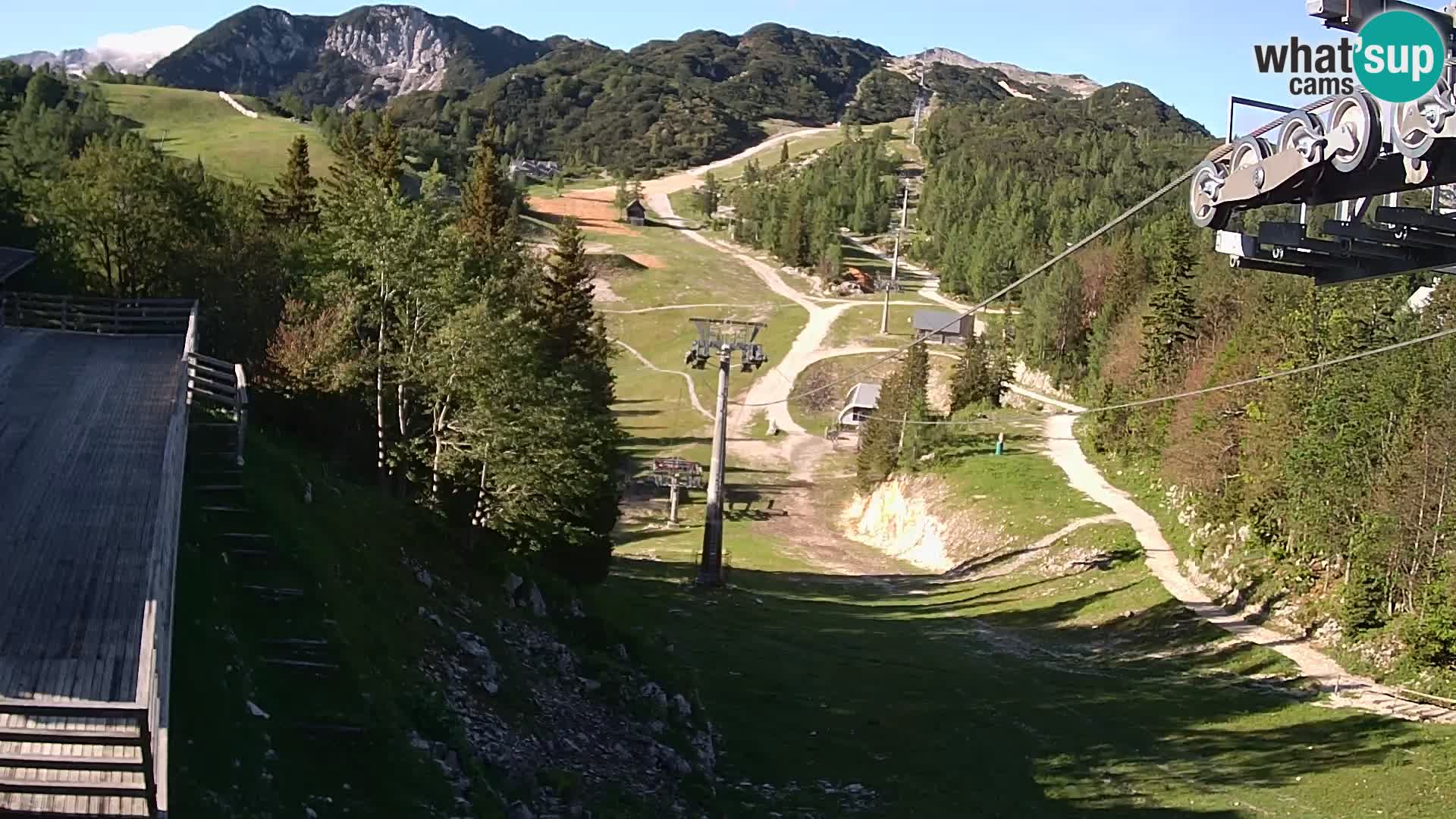 Vogel webcam kamera – Brunarica – Slowenien