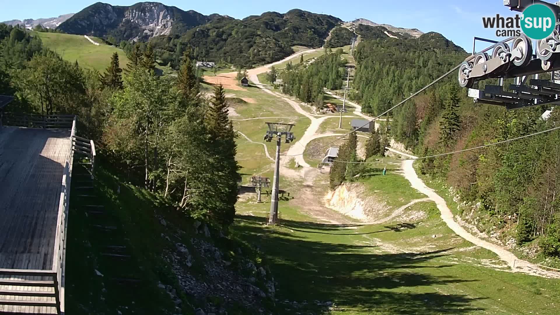 Vogel webcam kamera – Brunarica – Slowenien