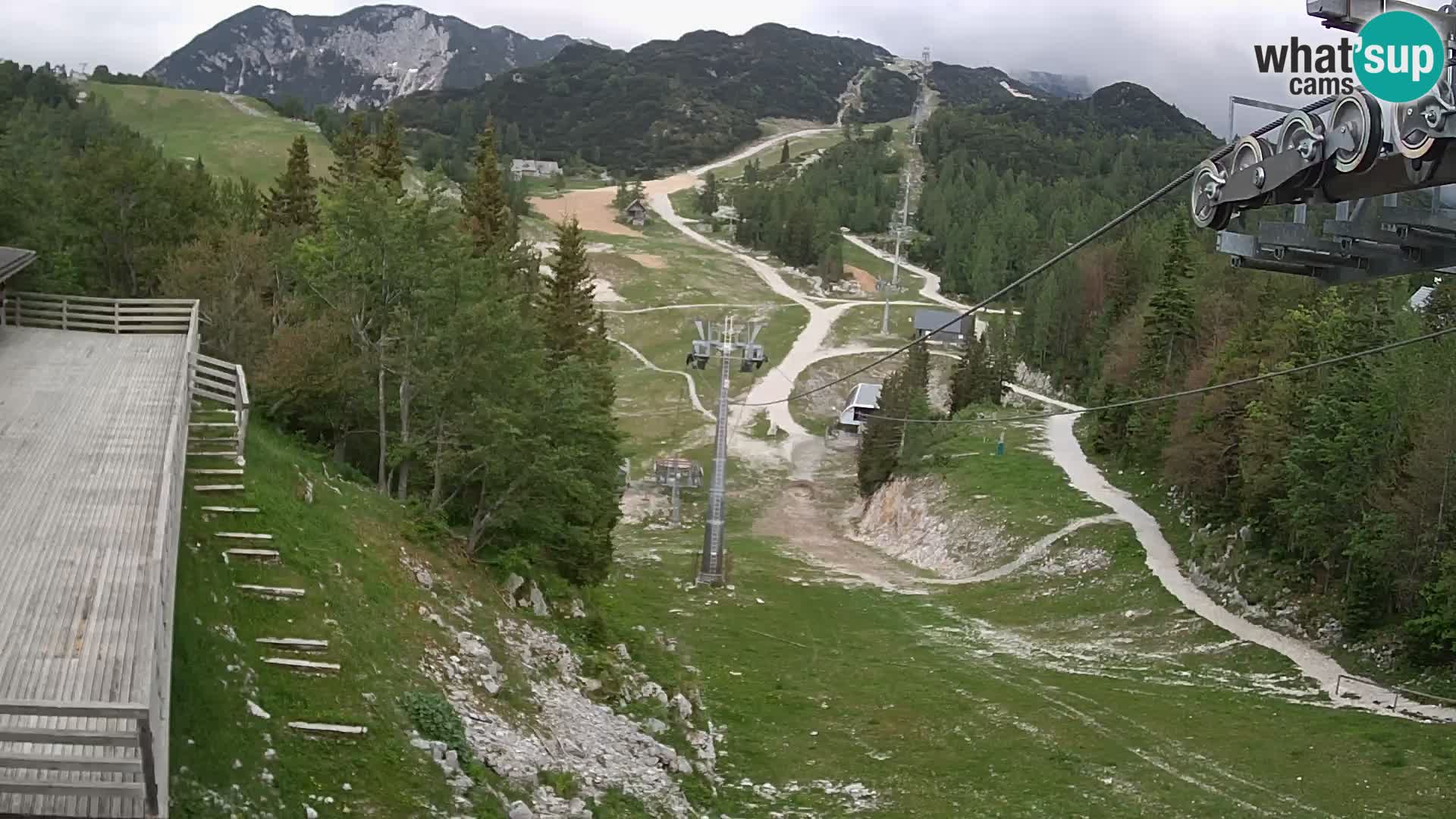 Vogel web kamera – Brunarica – Slovenija
