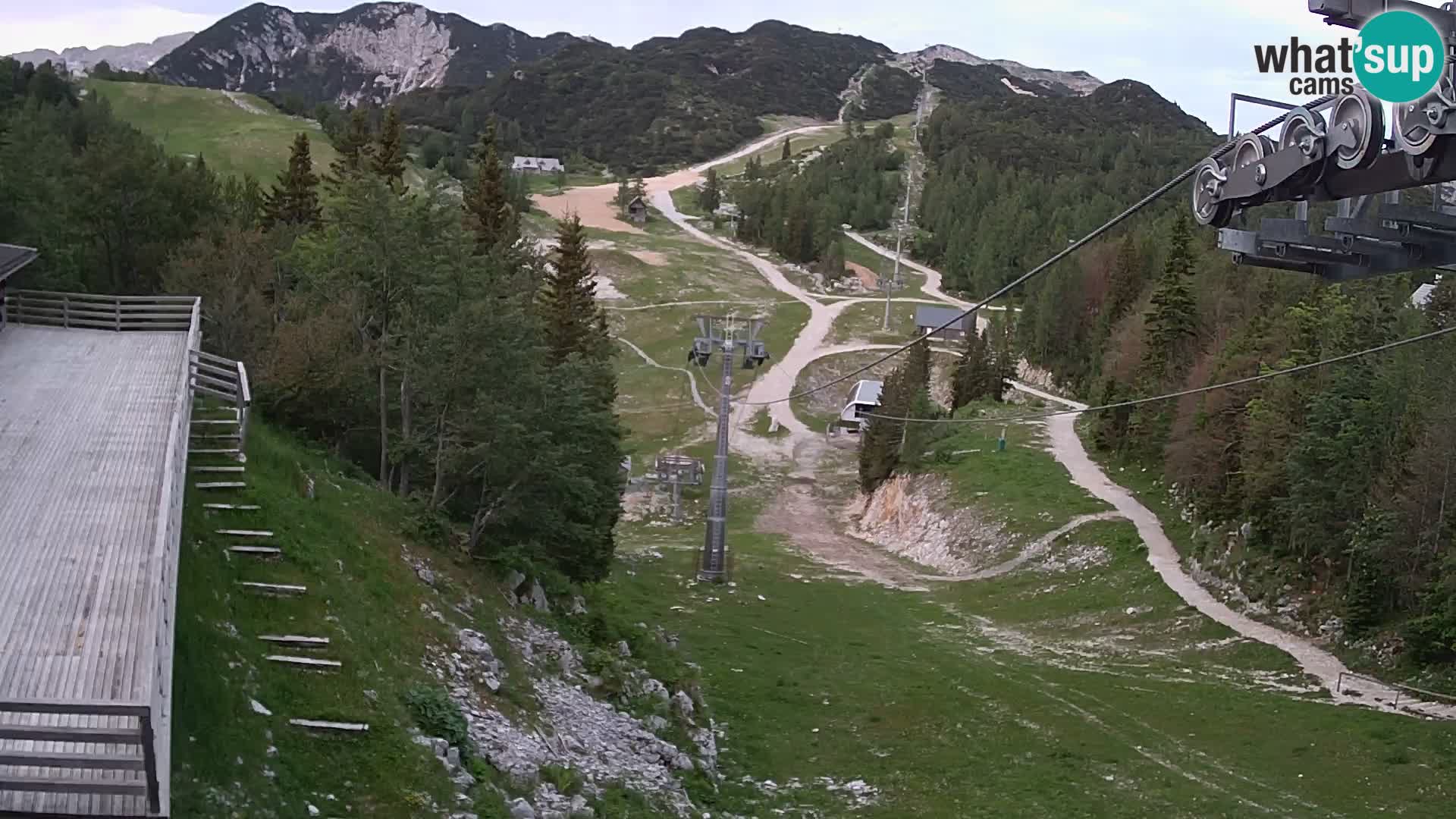 Vogel Live webcam – Brunarica – Slovenia
