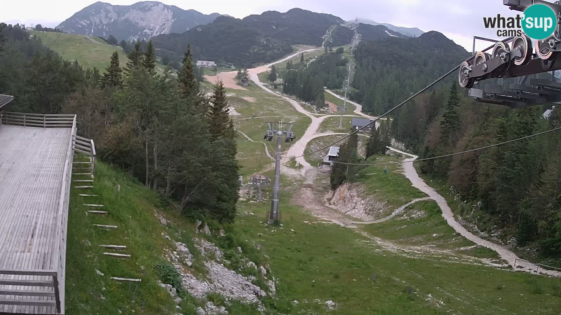 Vogel Live webcam – Brunarica – Slovenia