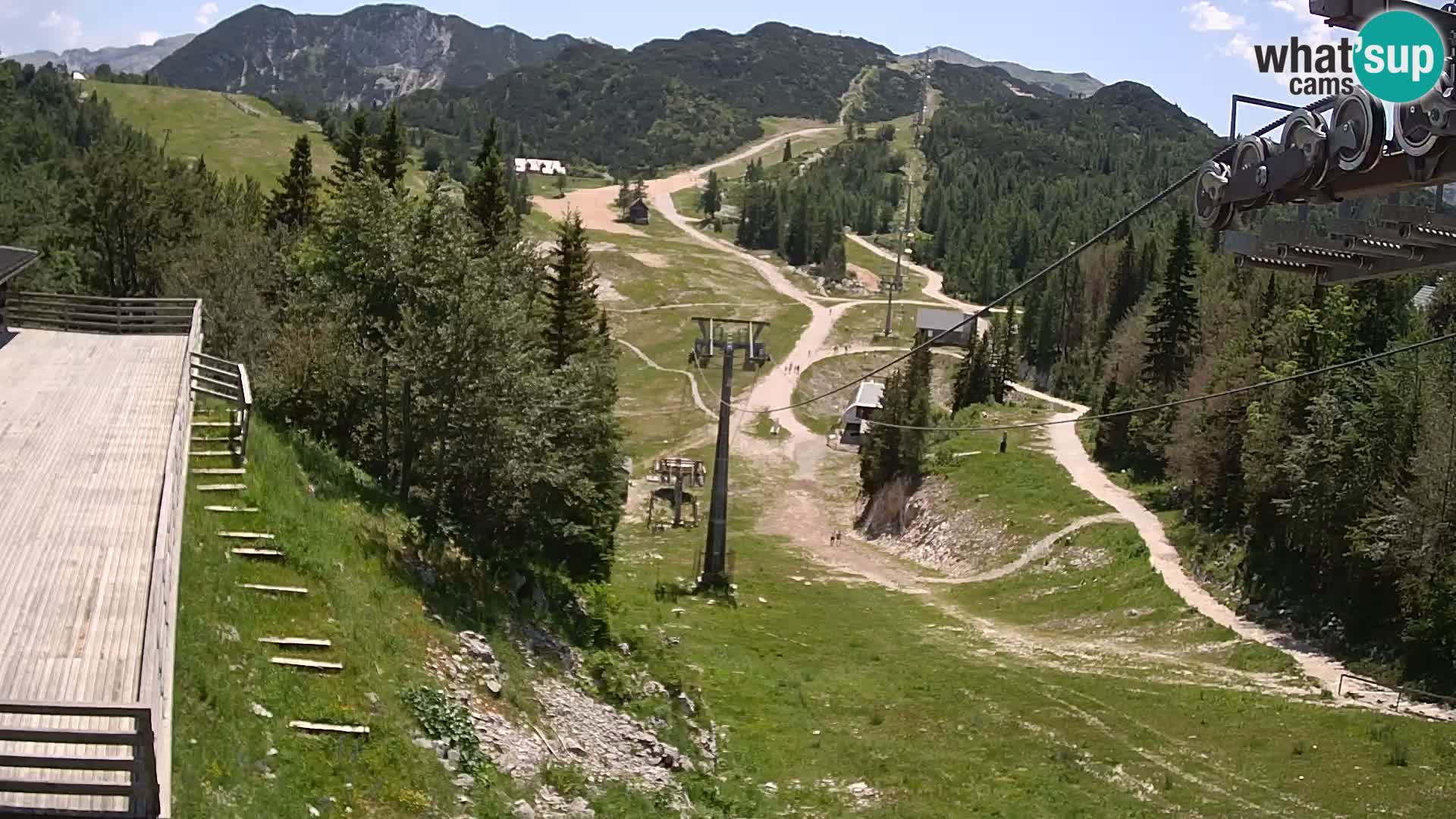 Vogel webcam kamera – Brunarica – Slowenien