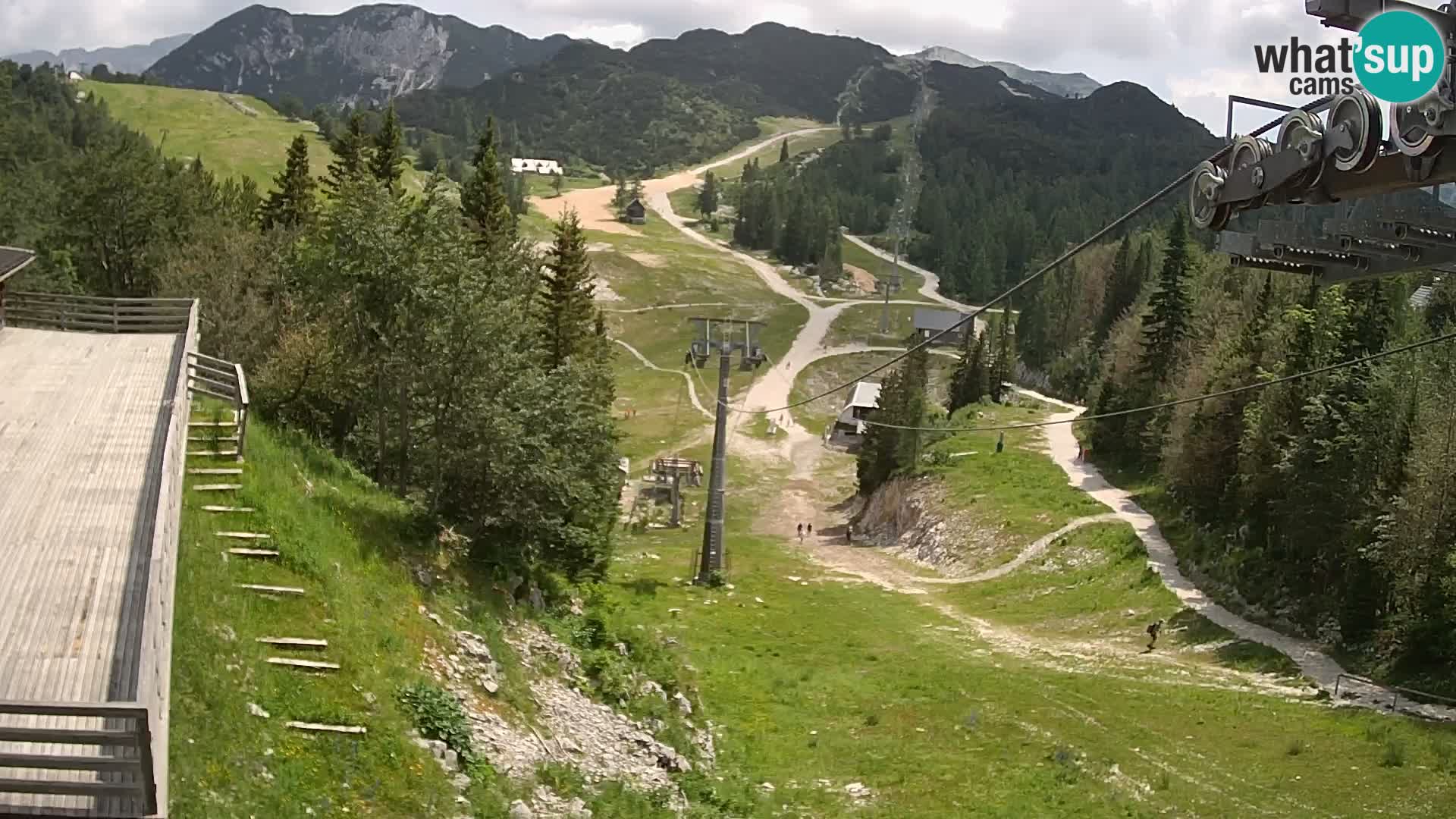Vogel webcam kamera – Brunarica – Slowenien