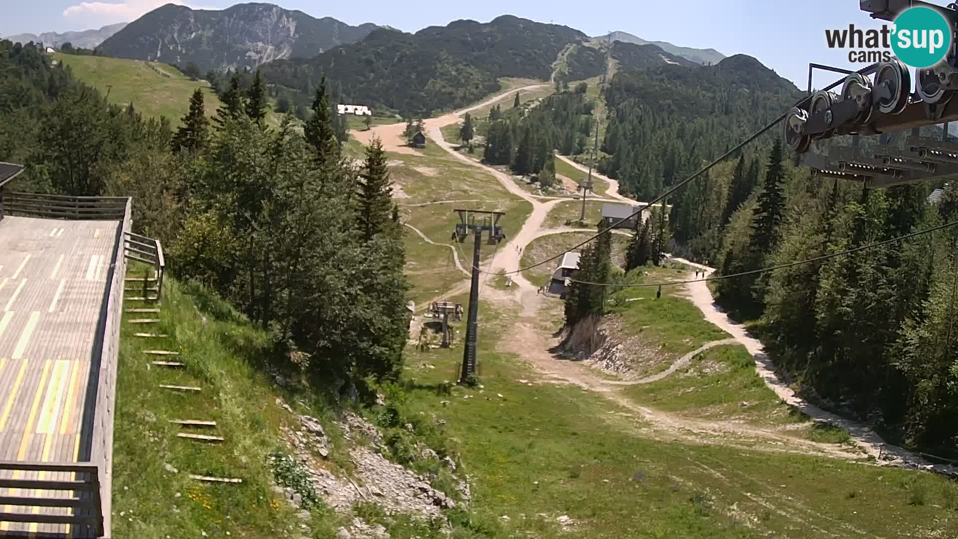 Vogel Live webcam – Brunarica – Slovenia