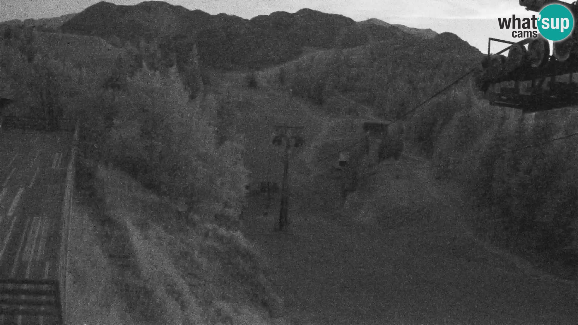 Vogel web kamera – Brunarica – Slovenija