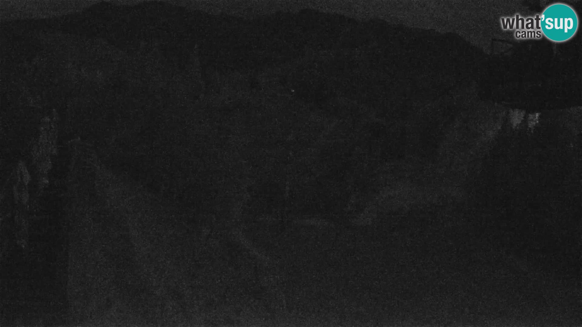Vogel webcam kamera – Brunarica – Slowenien