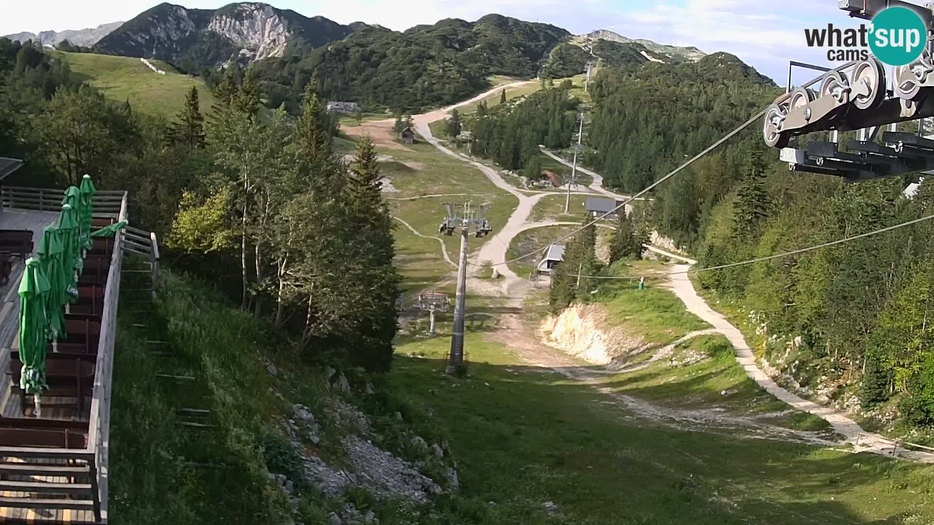 Vogel Live webcam – Brunarica – Slovénie