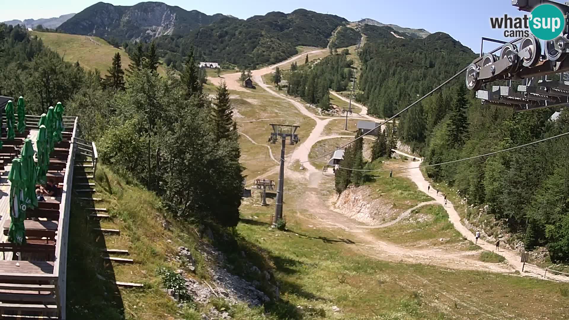 Vogel Live webcam – Brunarica – Slovénie
