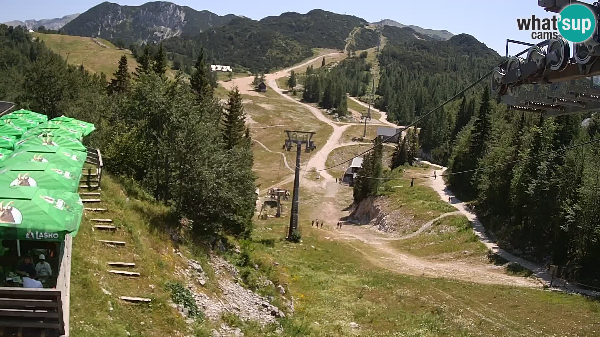 Vogel webcam kamera – Brunarica – Slowenien