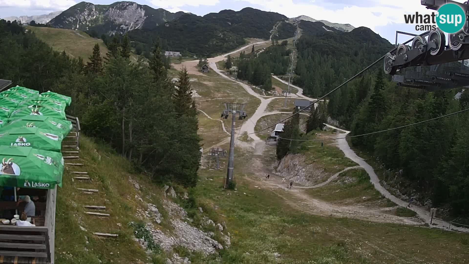 Vogel web kamera – Brunarica – Slovenija