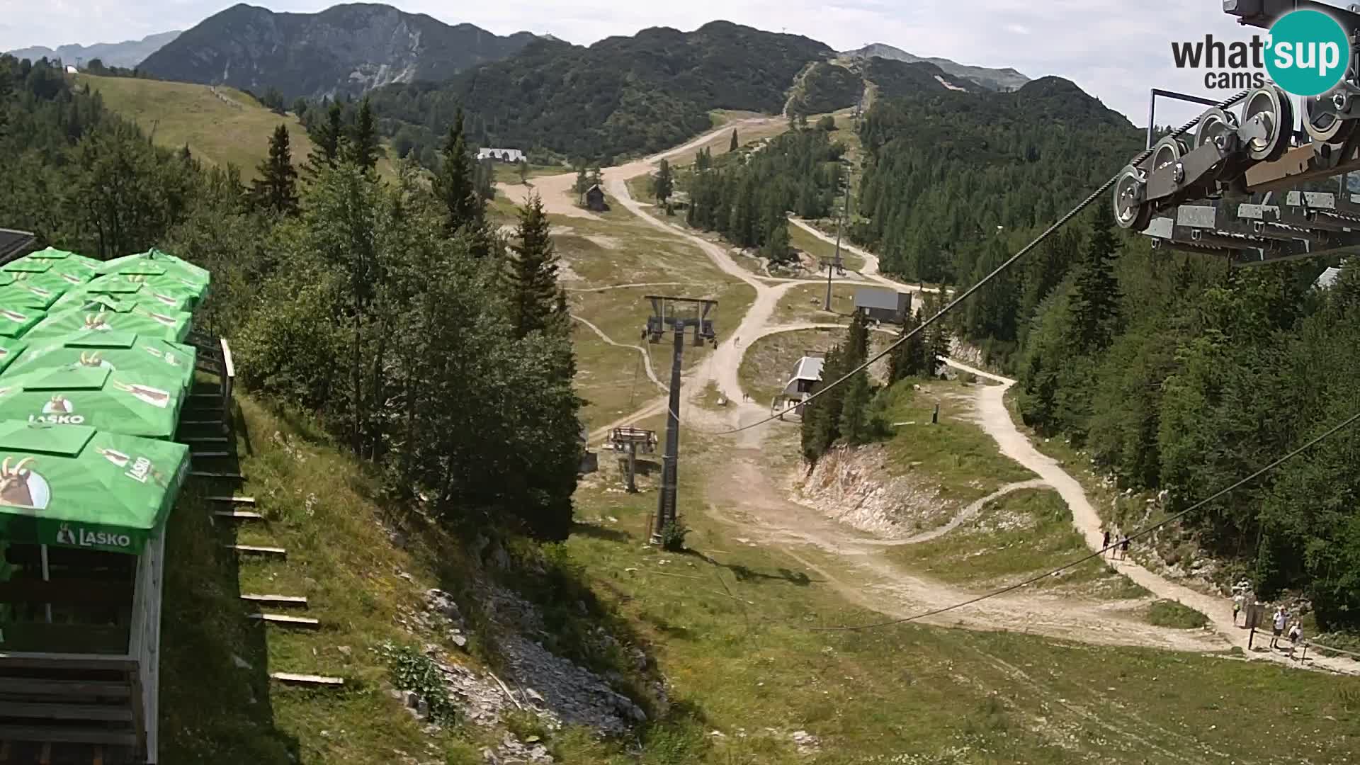 Vogel webcam kamera – Brunarica – Slowenien