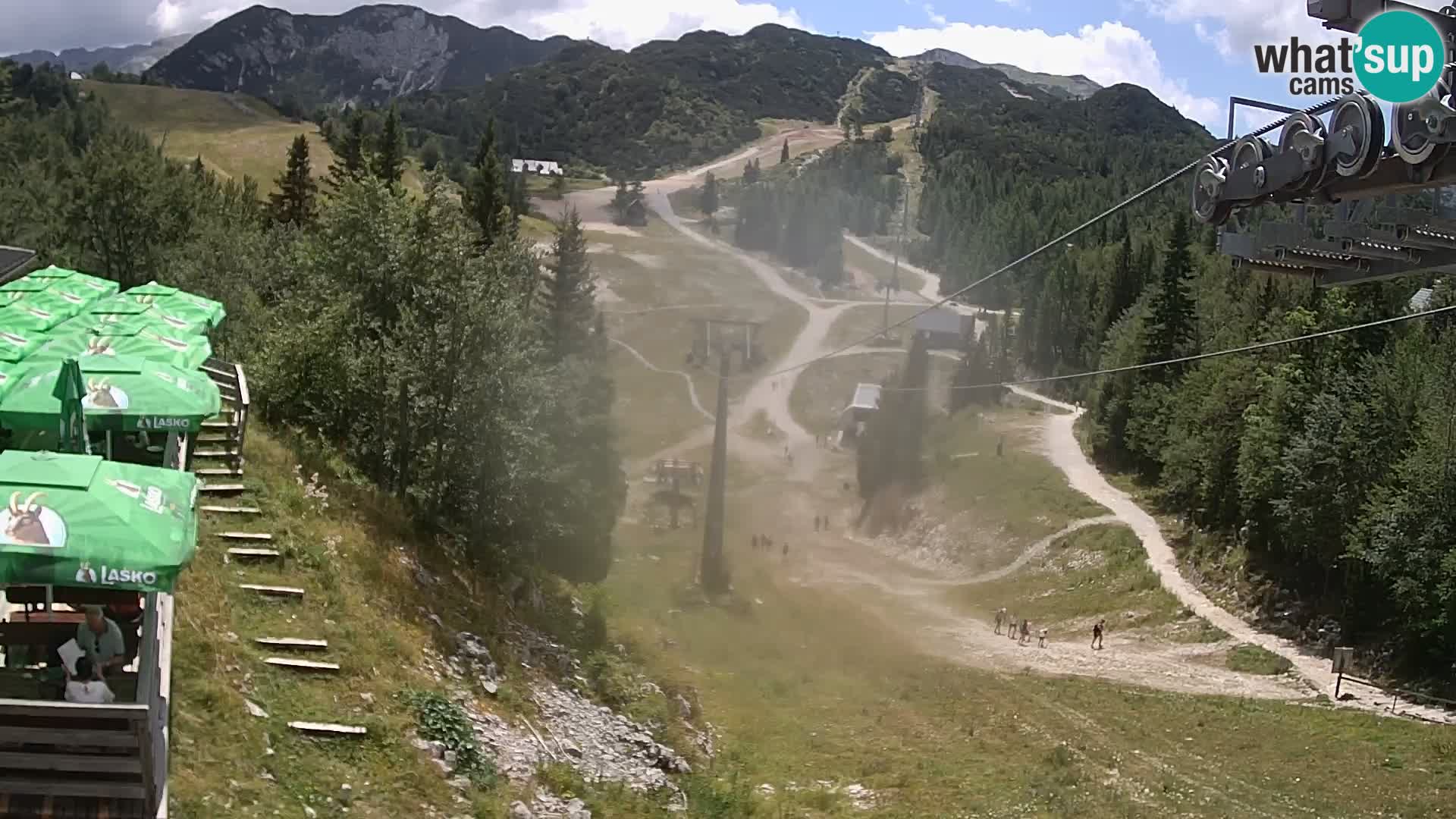 Vogel webcam kamera – Brunarica – Slowenien
