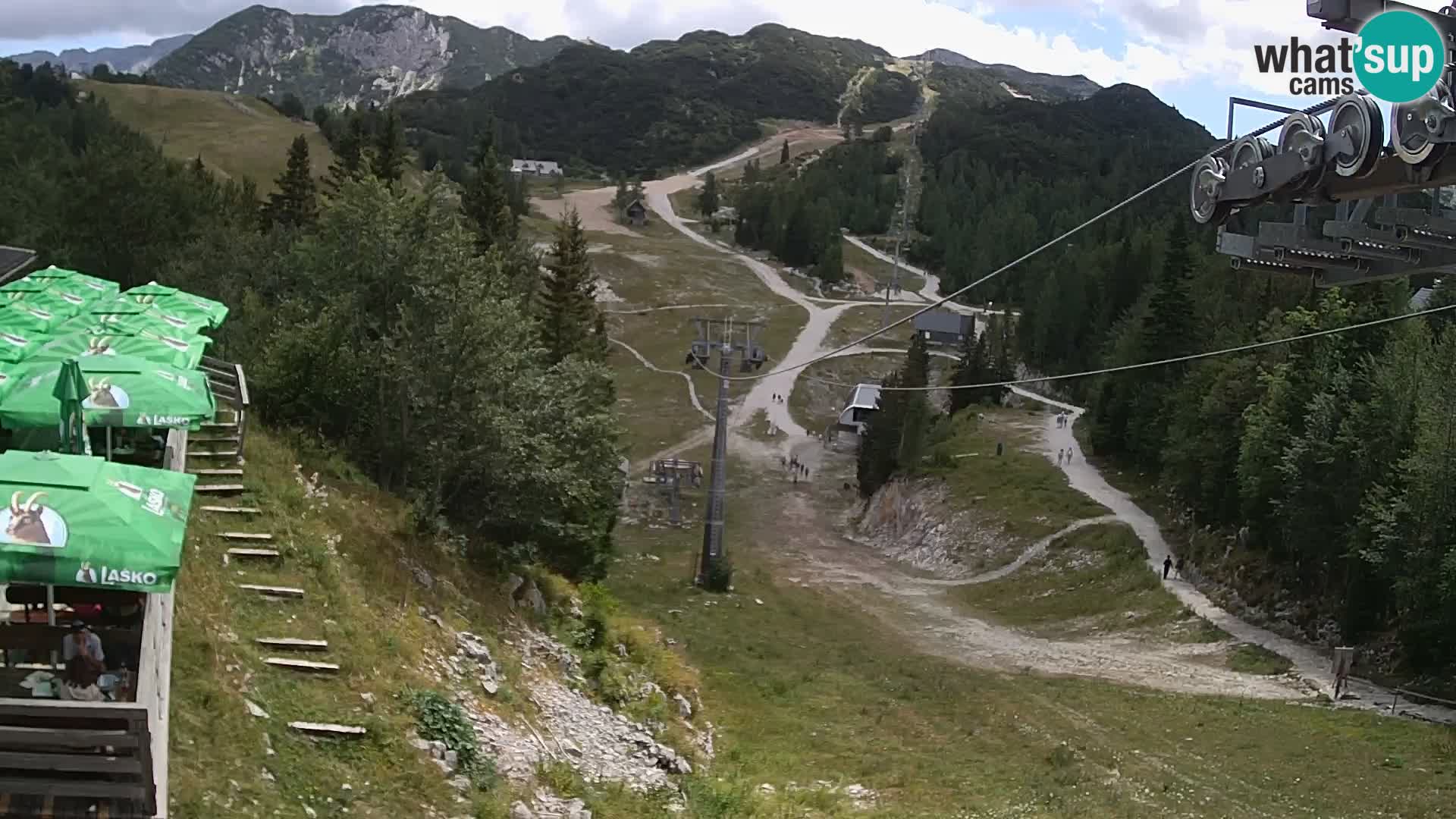 Vogel webcam kamera – Brunarica – Slowenien