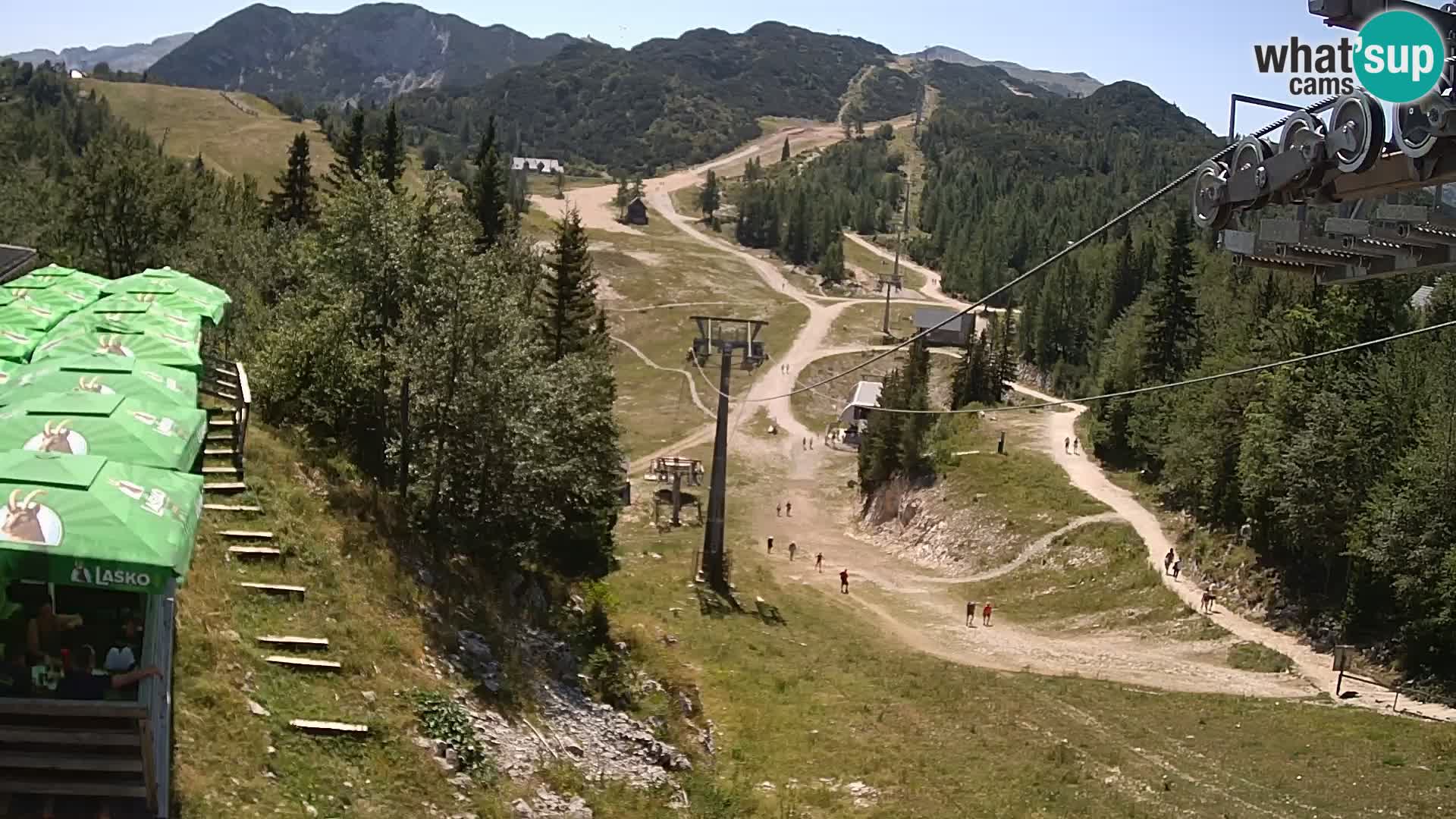 Vogel Live webcam – Brunarica – Slovenia