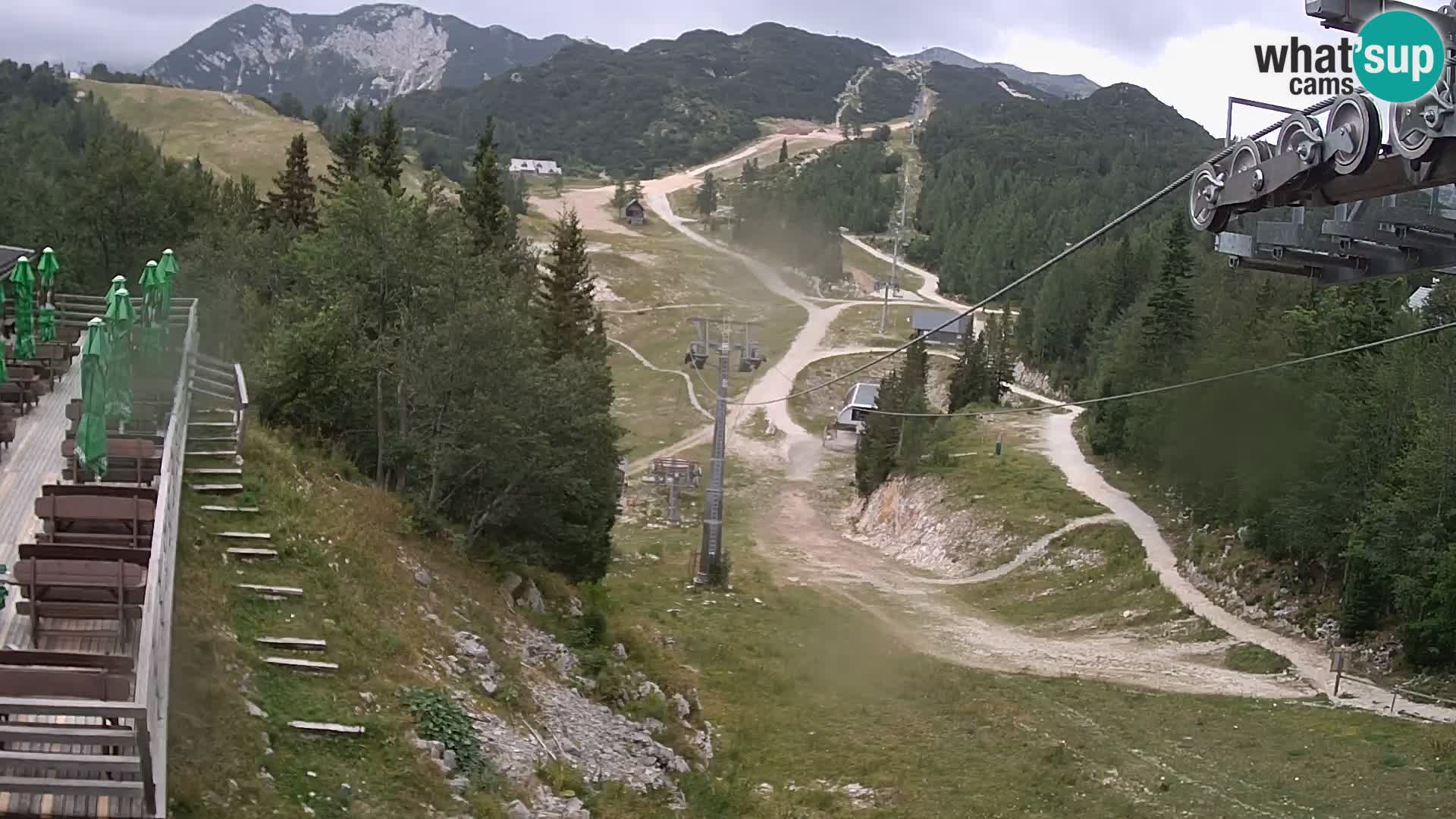 Vogel Live webcam – Brunarica – Slovénie