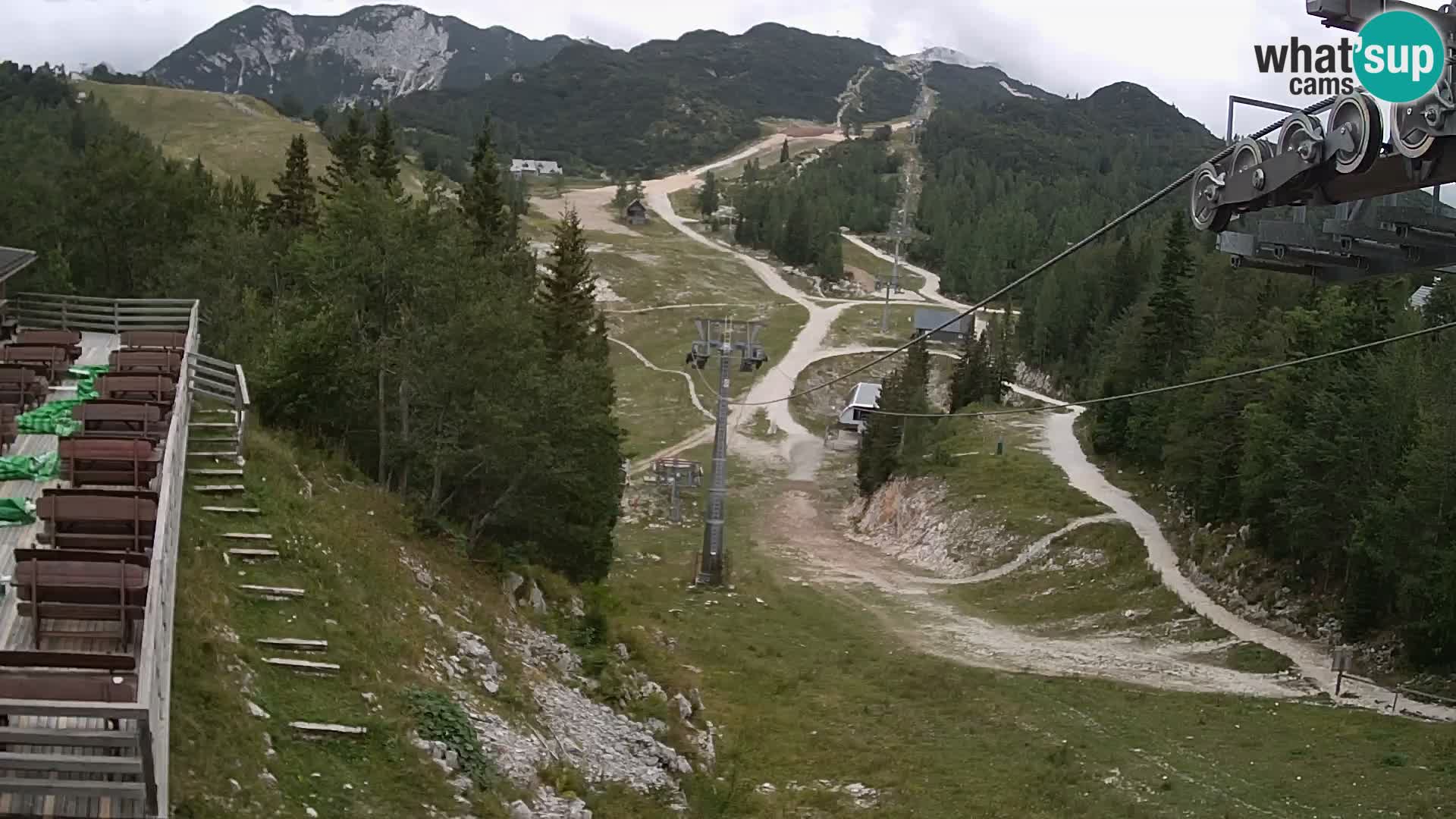 Vogel webcam kamera – Brunarica – Slowenien