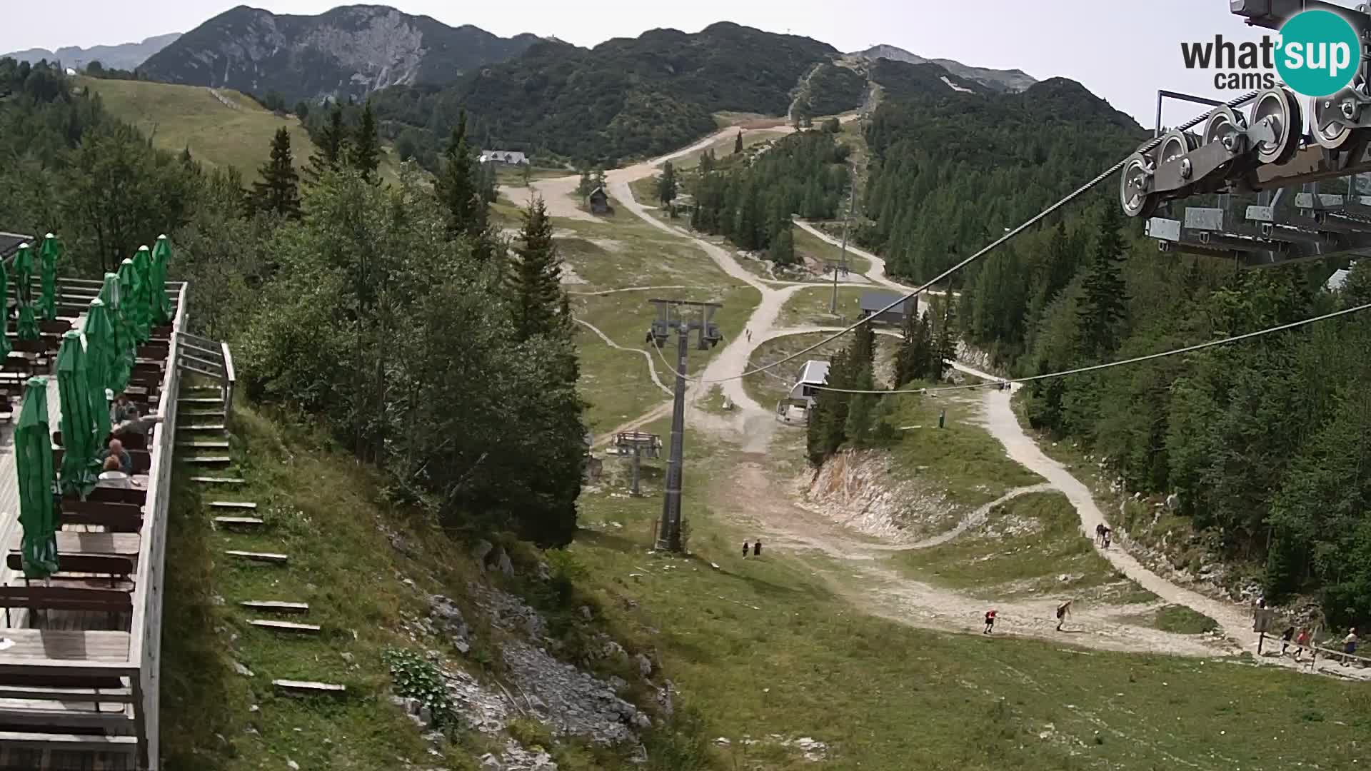 Vogel web kamera – Brunarica – Slovenija