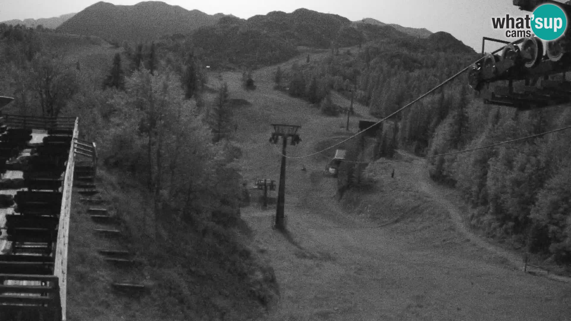 Vogel Live webcam – Brunarica – Slovénie