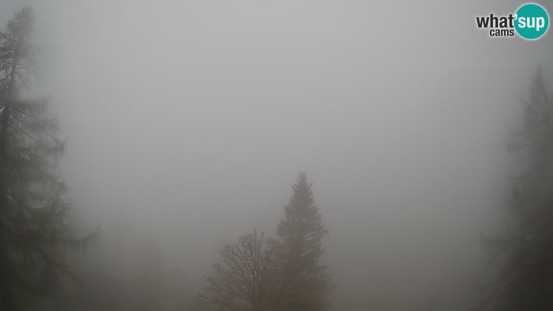 Webcam Vršič LIVE maison Erjavčeva – vue sur PRISOJNIK – Slovénie
