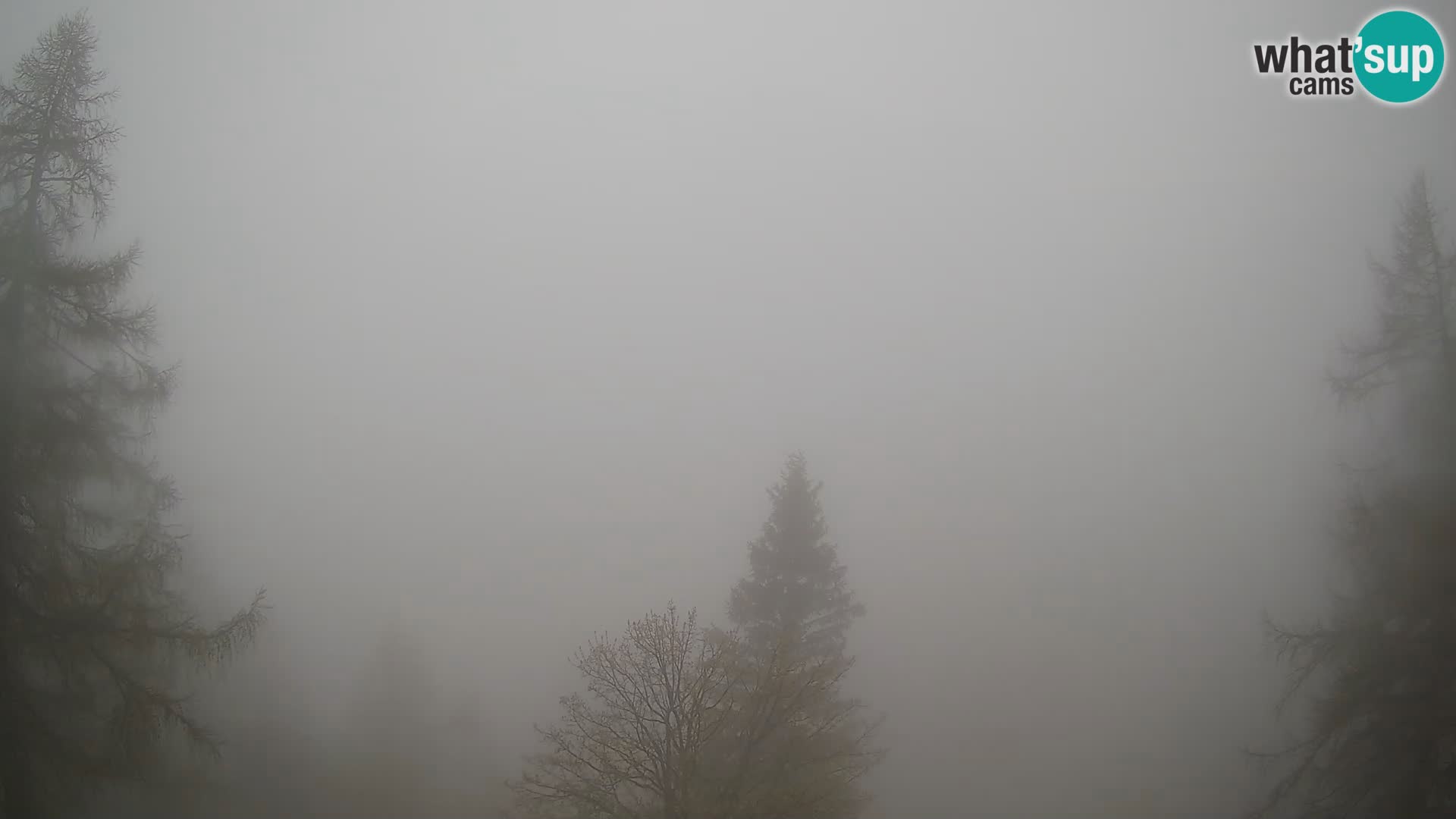 Webcam Vršič LIVE maison Erjavčeva – vue sur PRISOJNIK – Slovénie