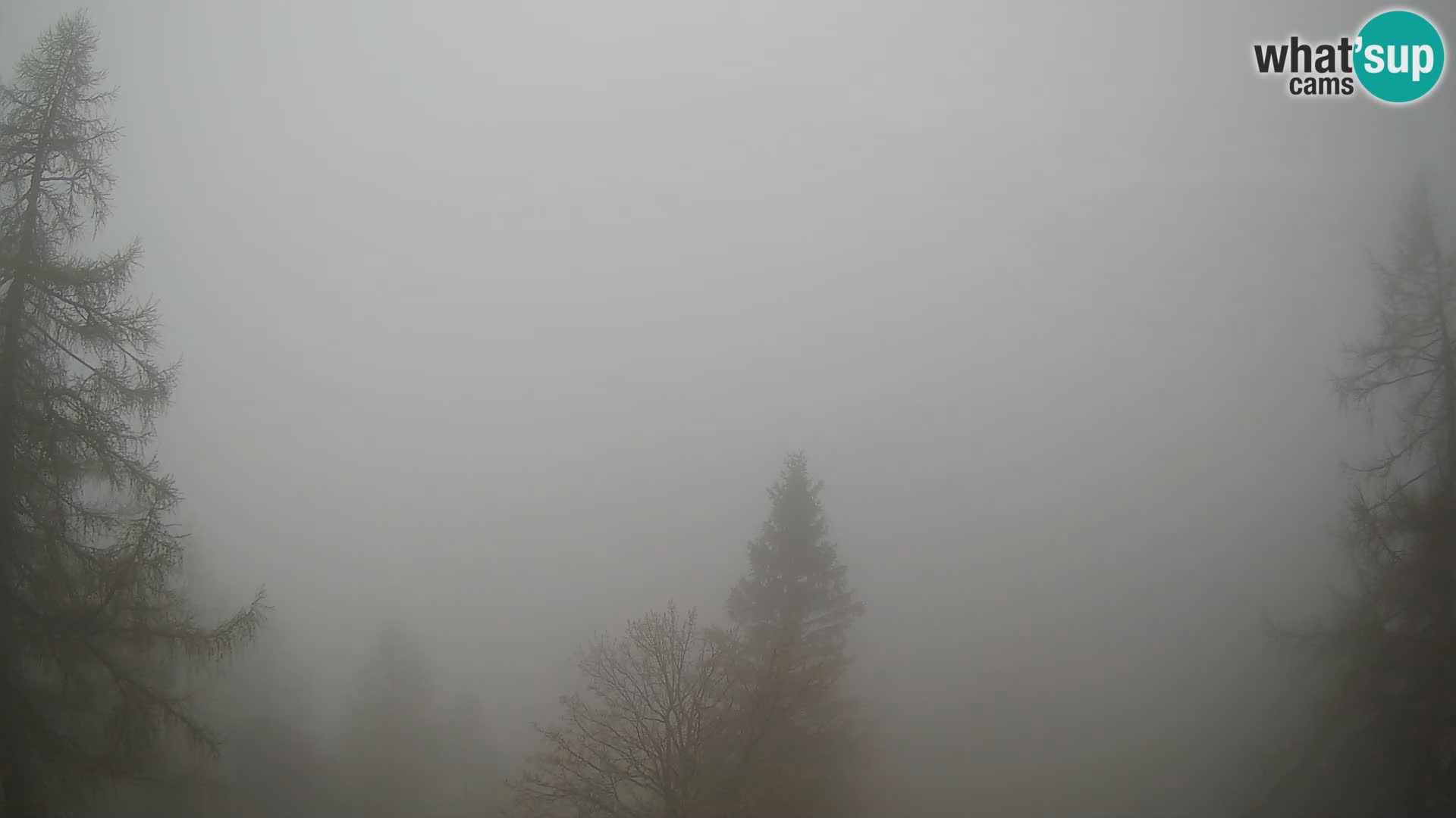Vršič LIVE webcam Erjavčeva house – view to PRISOJNIK – Slovenia