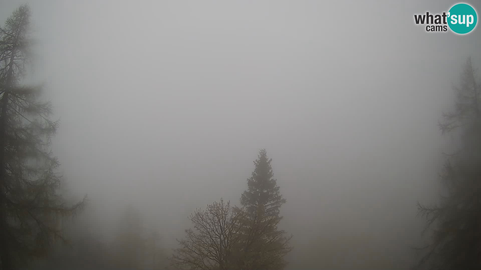 Vršič LIVE webcam casa Erjavčeva – vista sul PRISOJNIK – Slovenia
