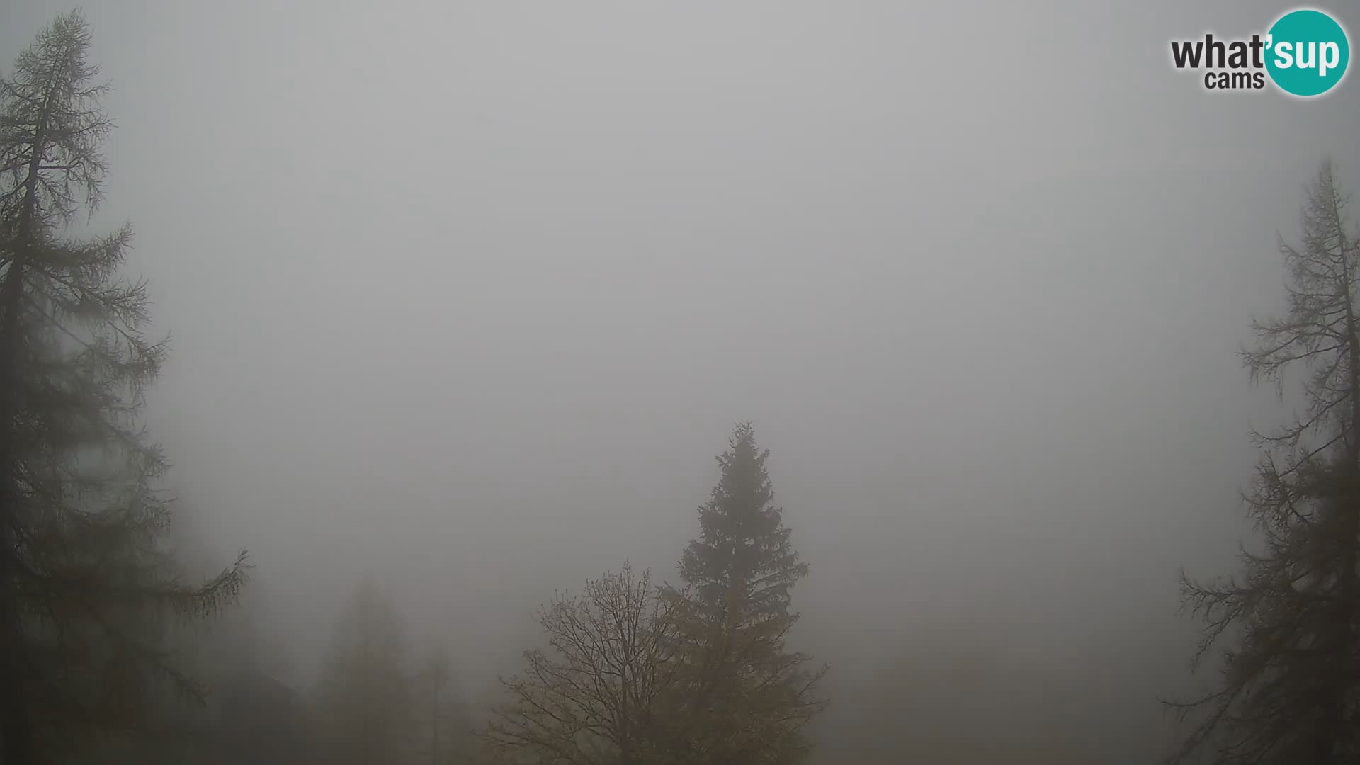 Vršič LIVE webcam Erjavčeva house – view to PRISOJNIK – Slovenia