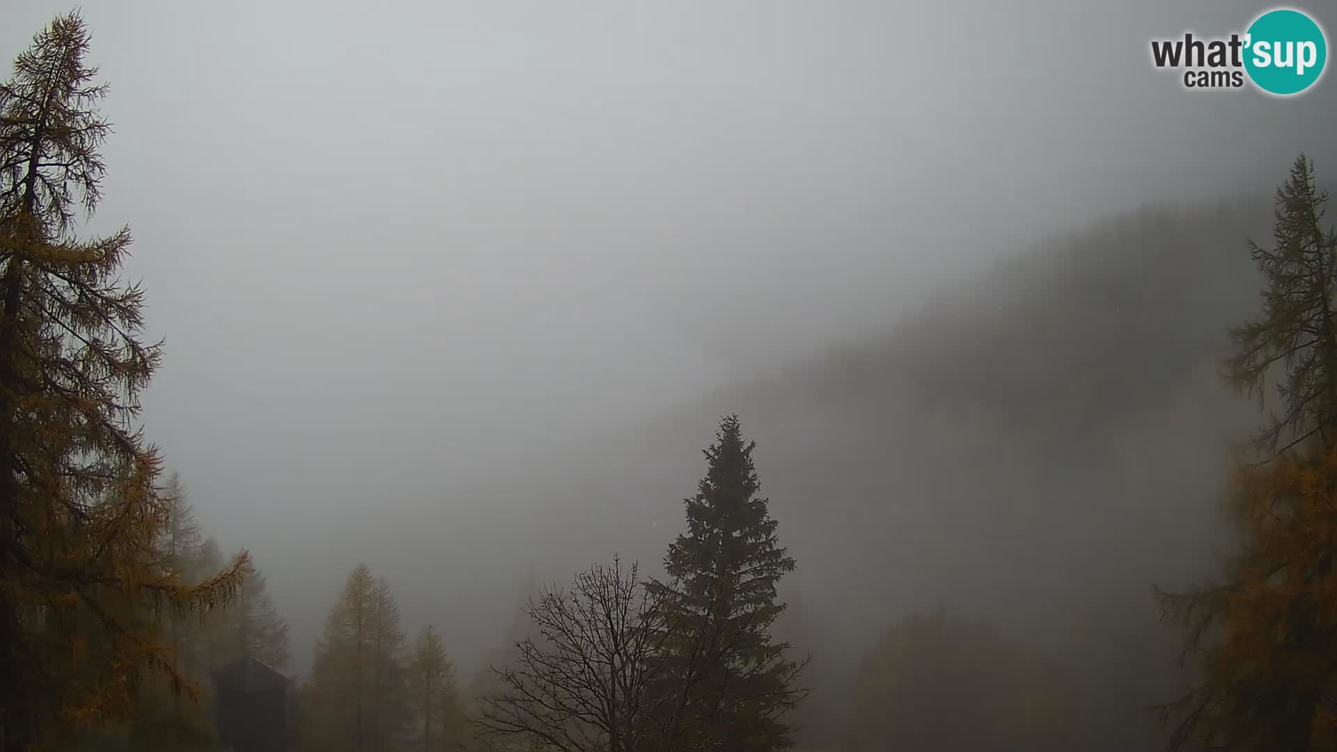 Webcam Vršič LIVE maison Erjavčeva – vue sur PRISOJNIK – Slovénie