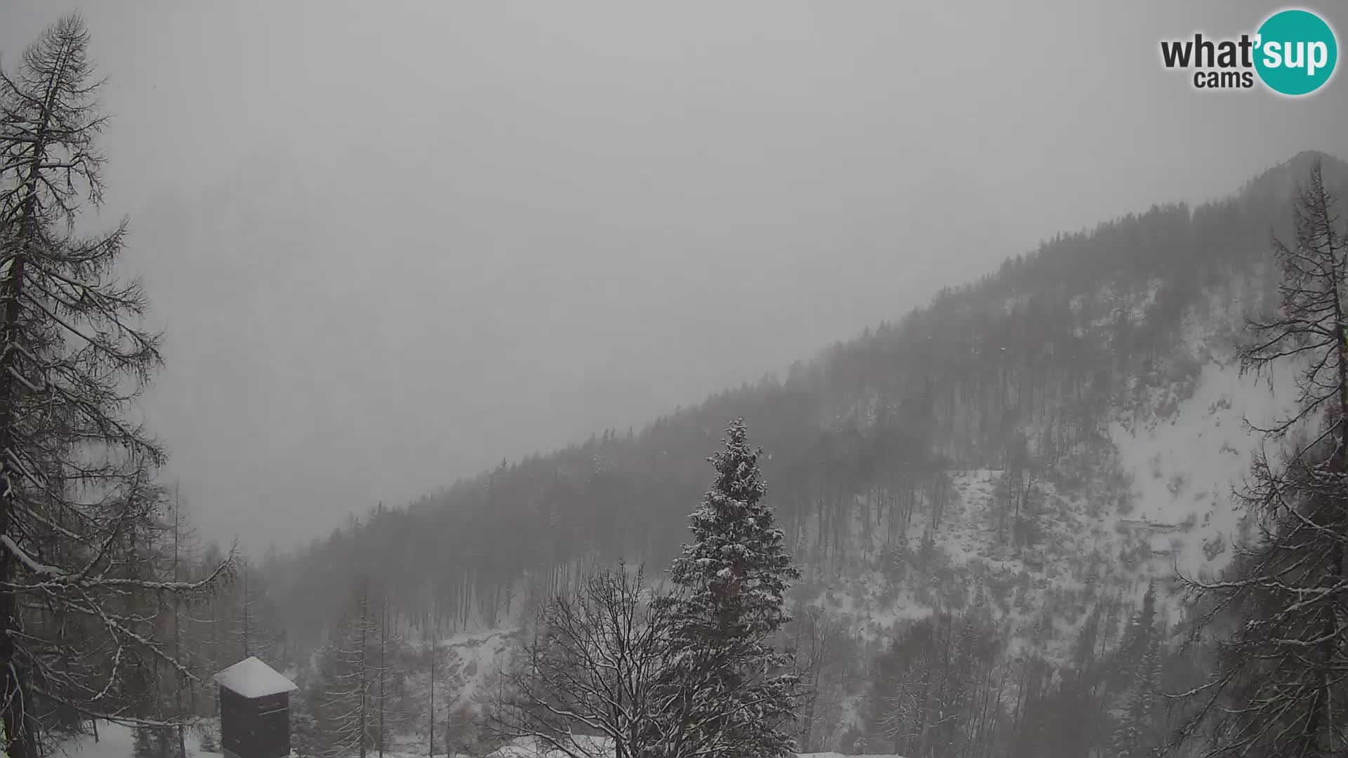 Vršič camera en vivo Casa Erjavčeva – vista a PRISOJNIK – Eslovenia