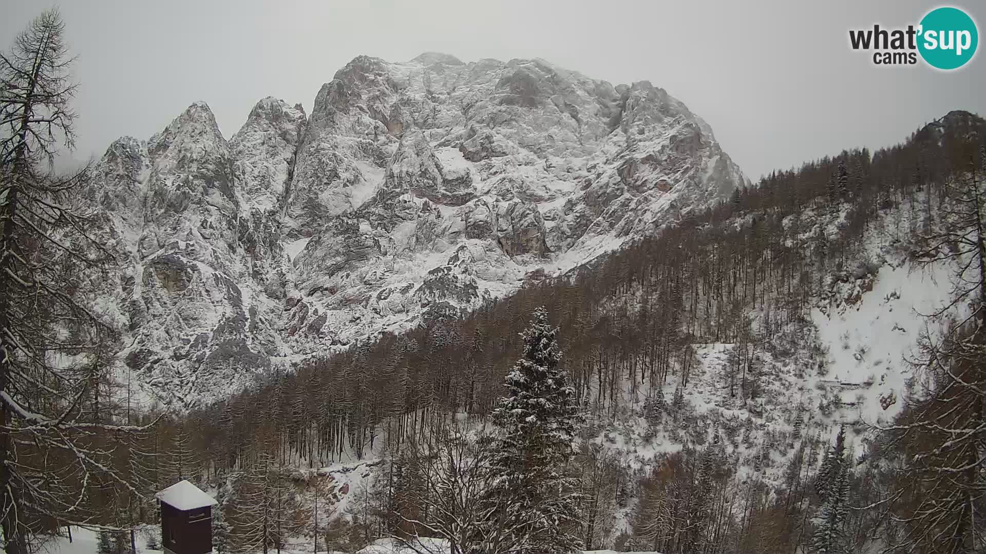 Vršič LIVE webcam casa Erjavčeva – vista sul PRISOJNIK – Slovenia