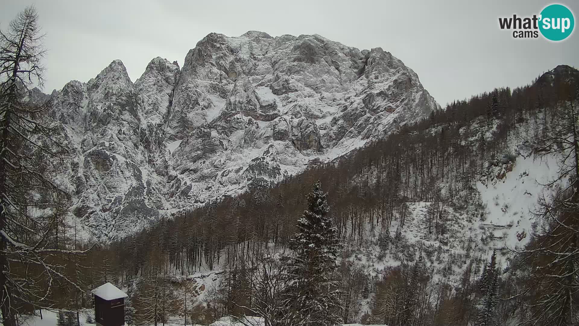 Vršič LIVE Webcam Haus Erjavčeva – Blick auf PRISOJNIK – Slowenien