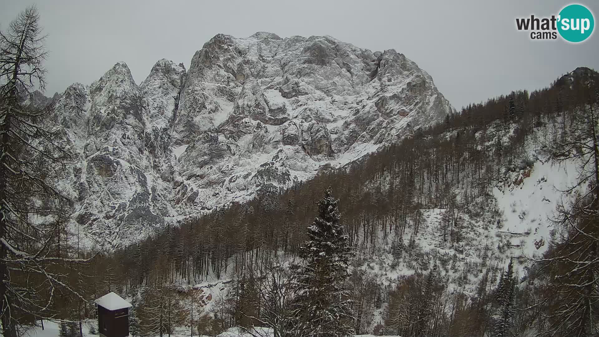 Vršič camera en vivo Casa Erjavčeva – vista a PRISOJNIK – Eslovenia