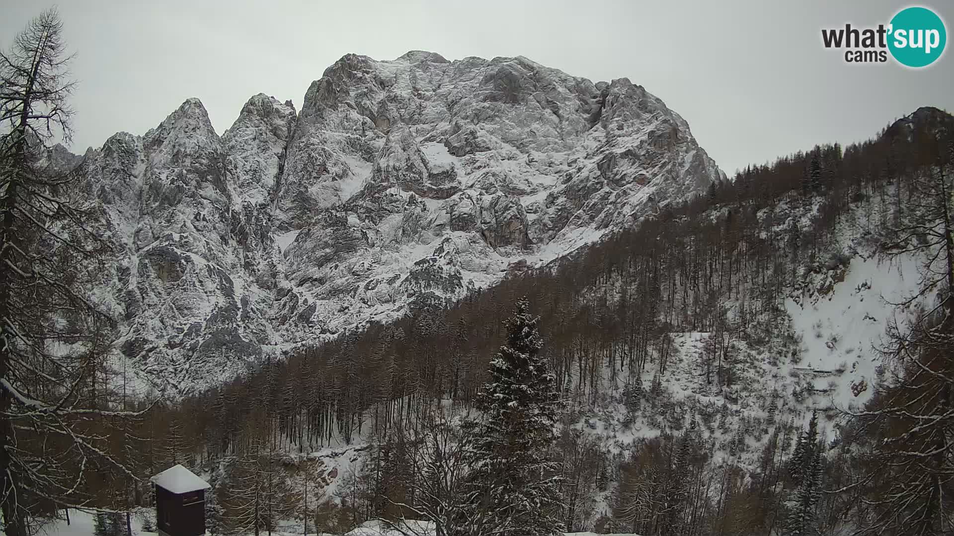 Vršič camera en vivo Casa Erjavčeva – vista a PRISOJNIK – Eslovenia