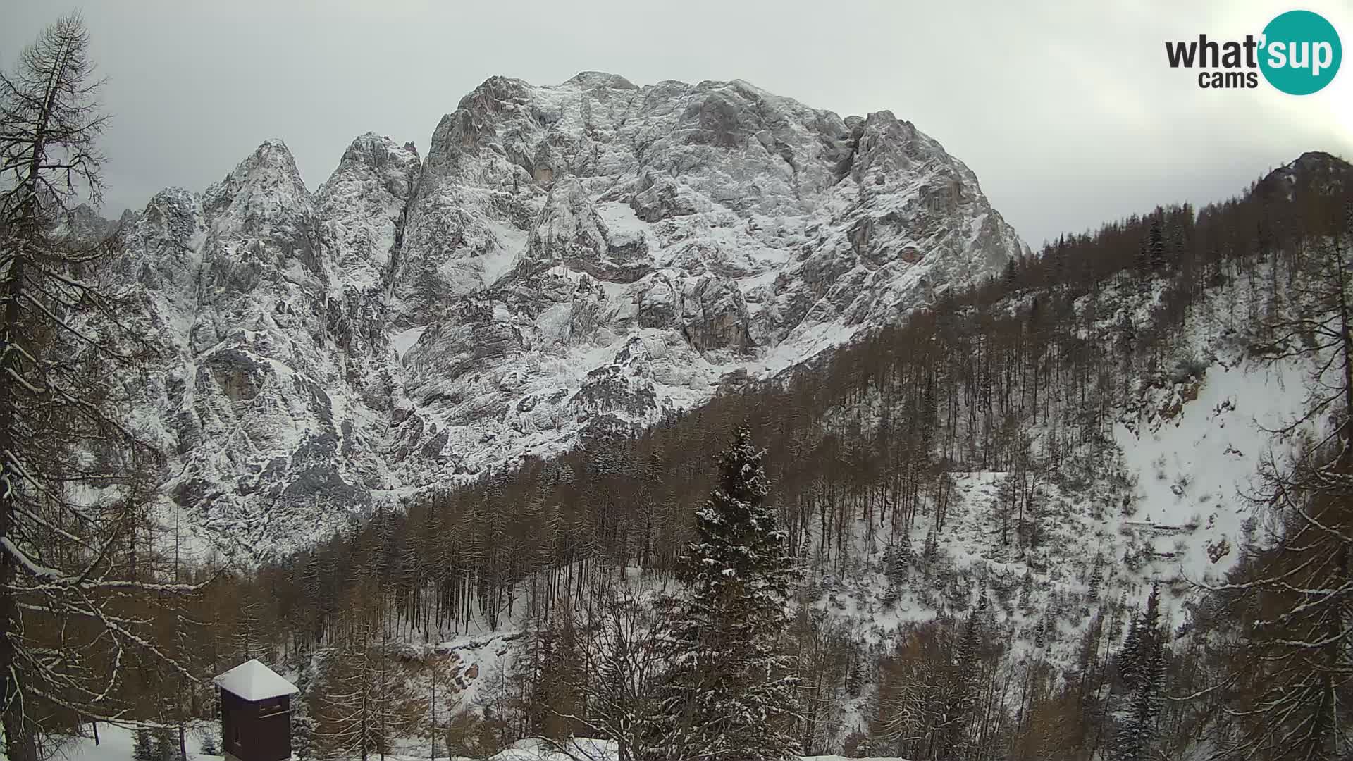 Vršič camera en vivo Casa Erjavčeva – vista a PRISOJNIK – Eslovenia