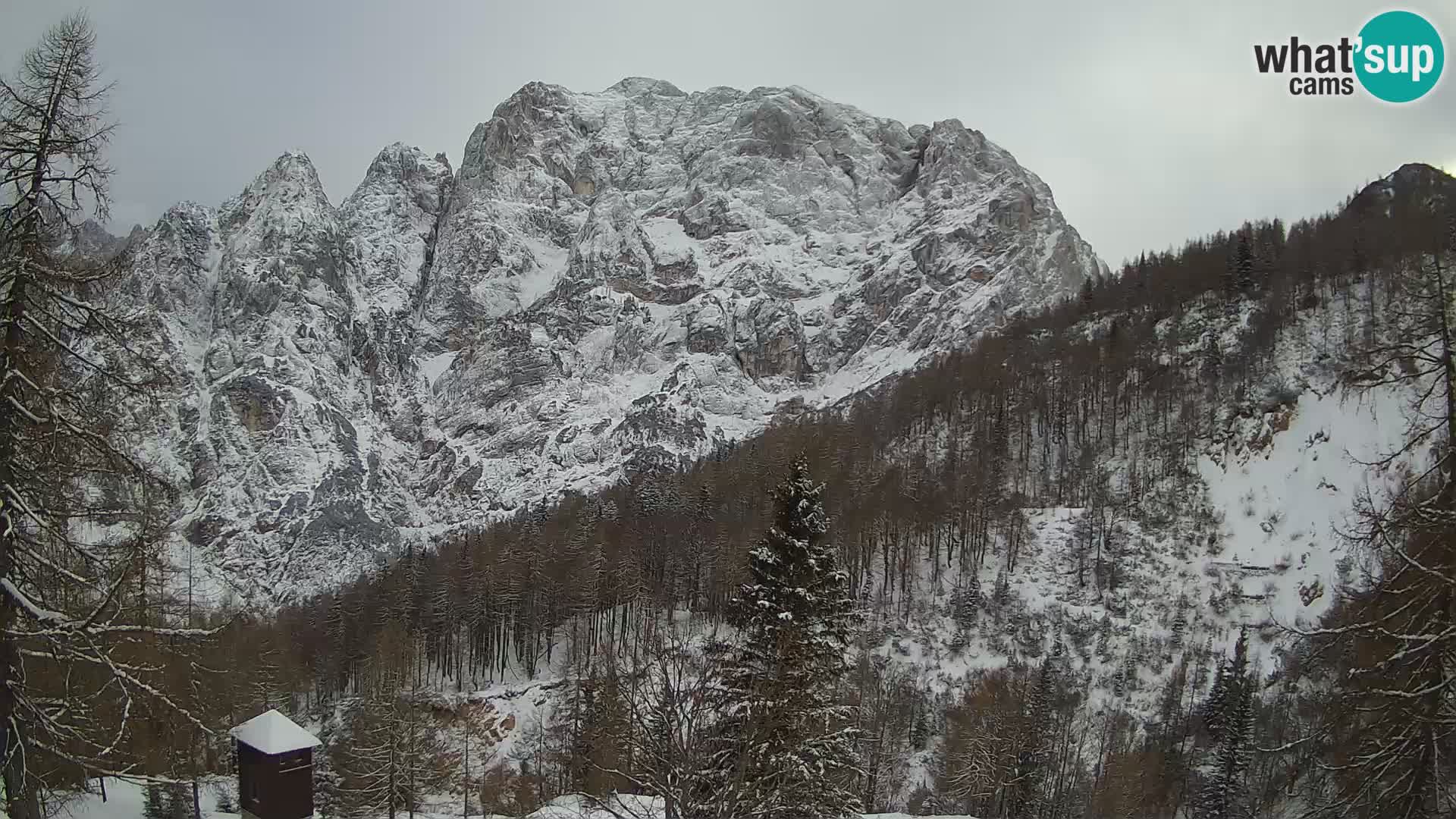 Vršič LIVE Webcam Haus Erjavčeva – Blick auf PRISOJNIK – Slowenien