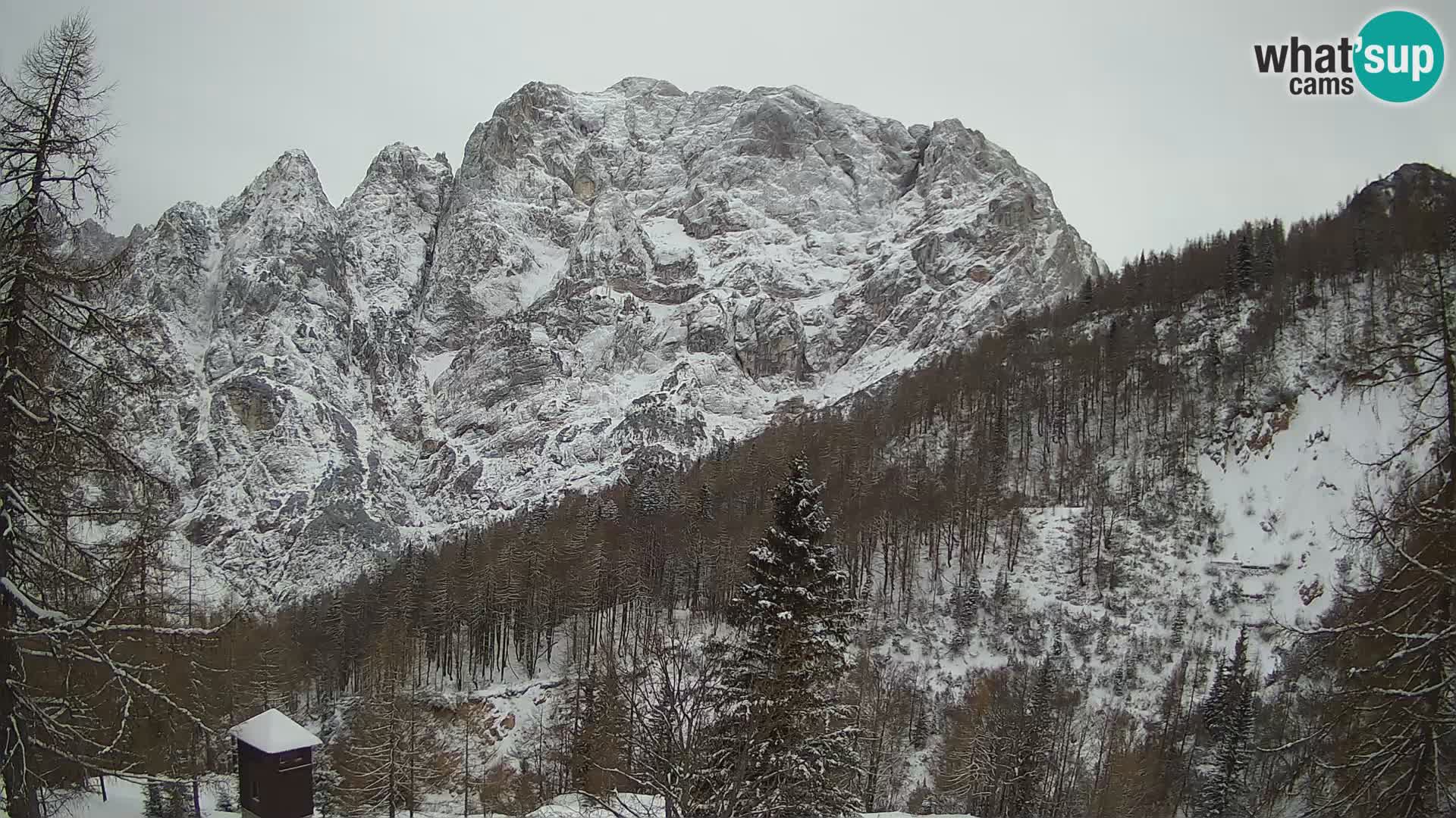 Vršič LIVE webcam casa Erjavčeva – vista sul PRISOJNIK – Slovenia