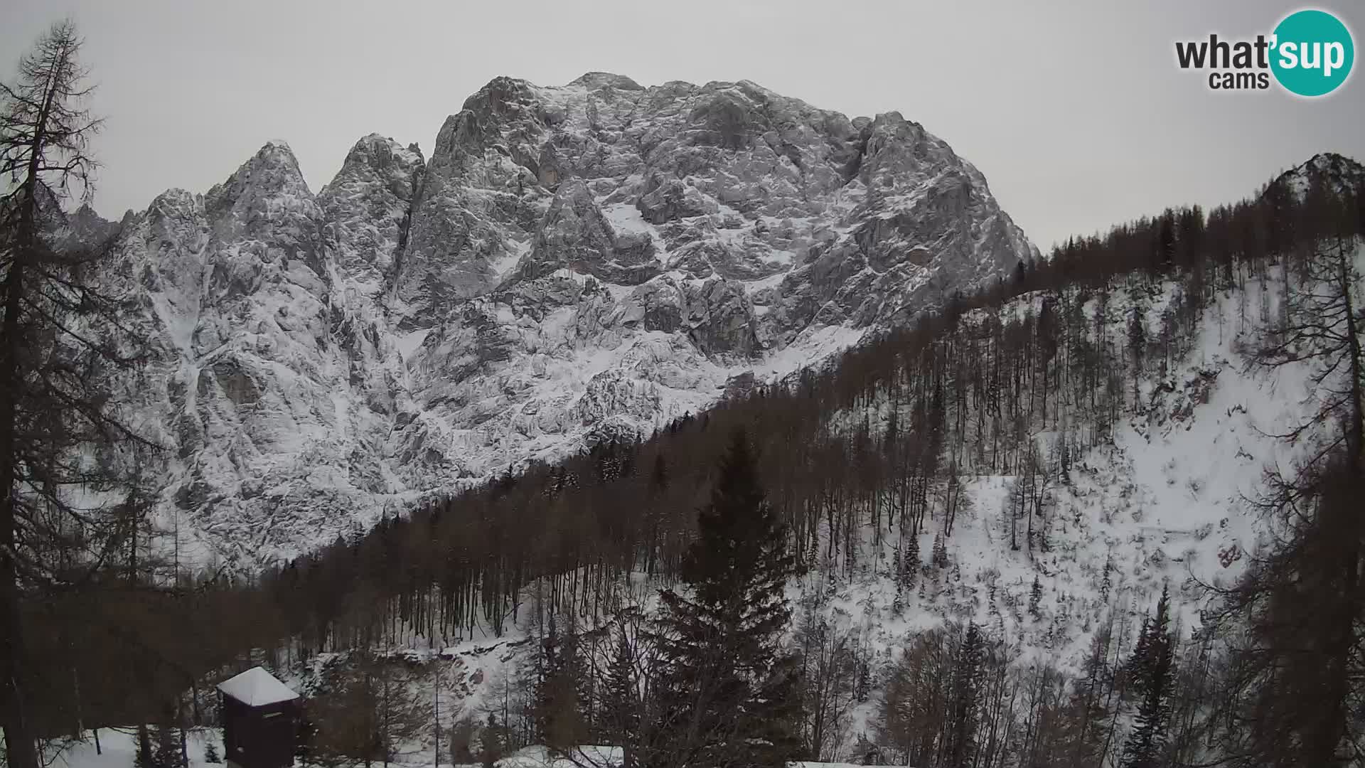 Vršič LIVE webcam casa Erjavčeva – vista sul PRISOJNIK – Slovenia