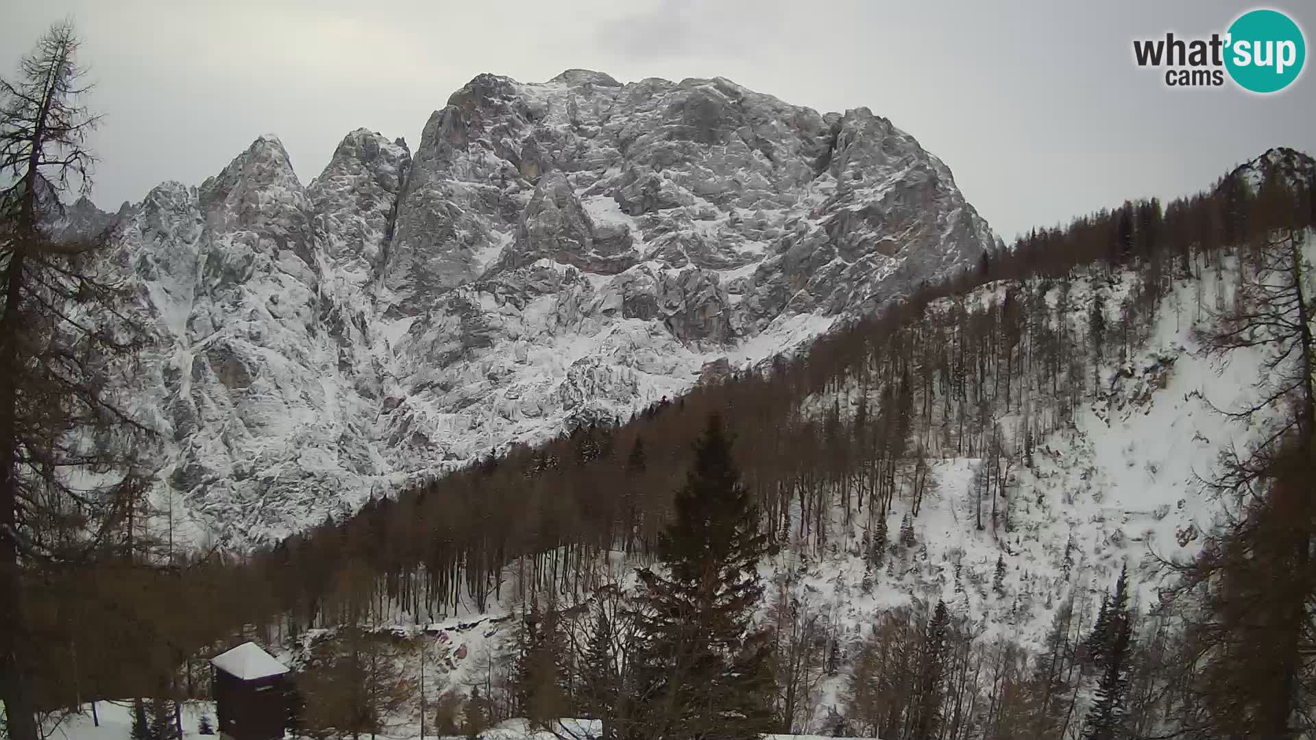 Vršič spletna kamera Erjavčeva hiša – pogled na PRISOJNIK