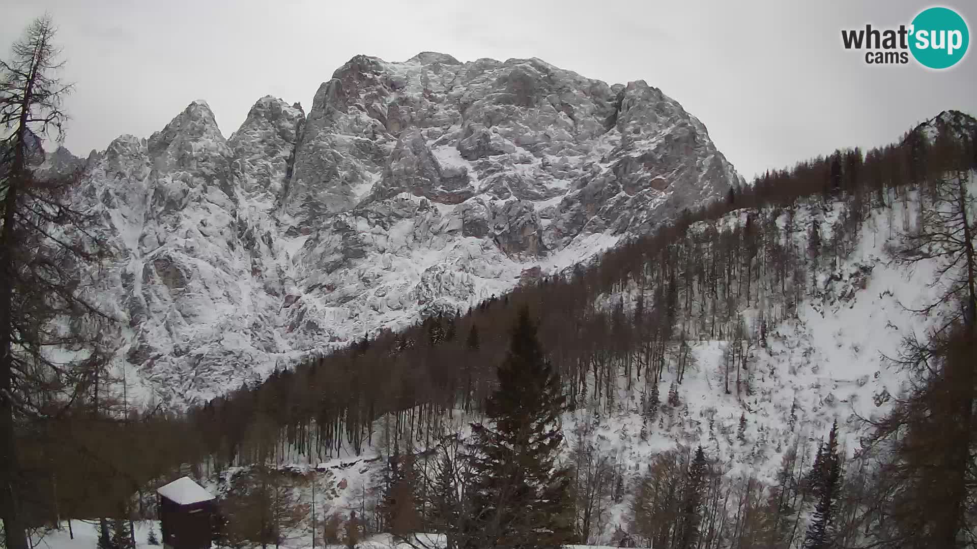 Vršič camera en vivo Casa Erjavčeva – vista a PRISOJNIK – Eslovenia