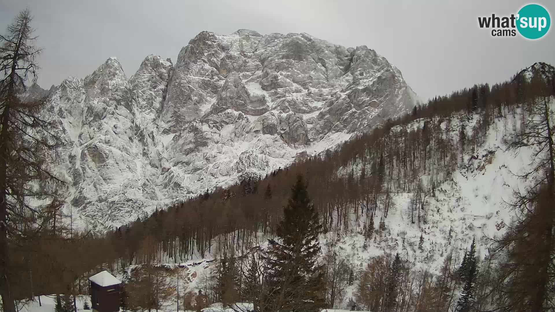 Vršič camera en vivo Casa Erjavčeva – vista a PRISOJNIK – Eslovenia