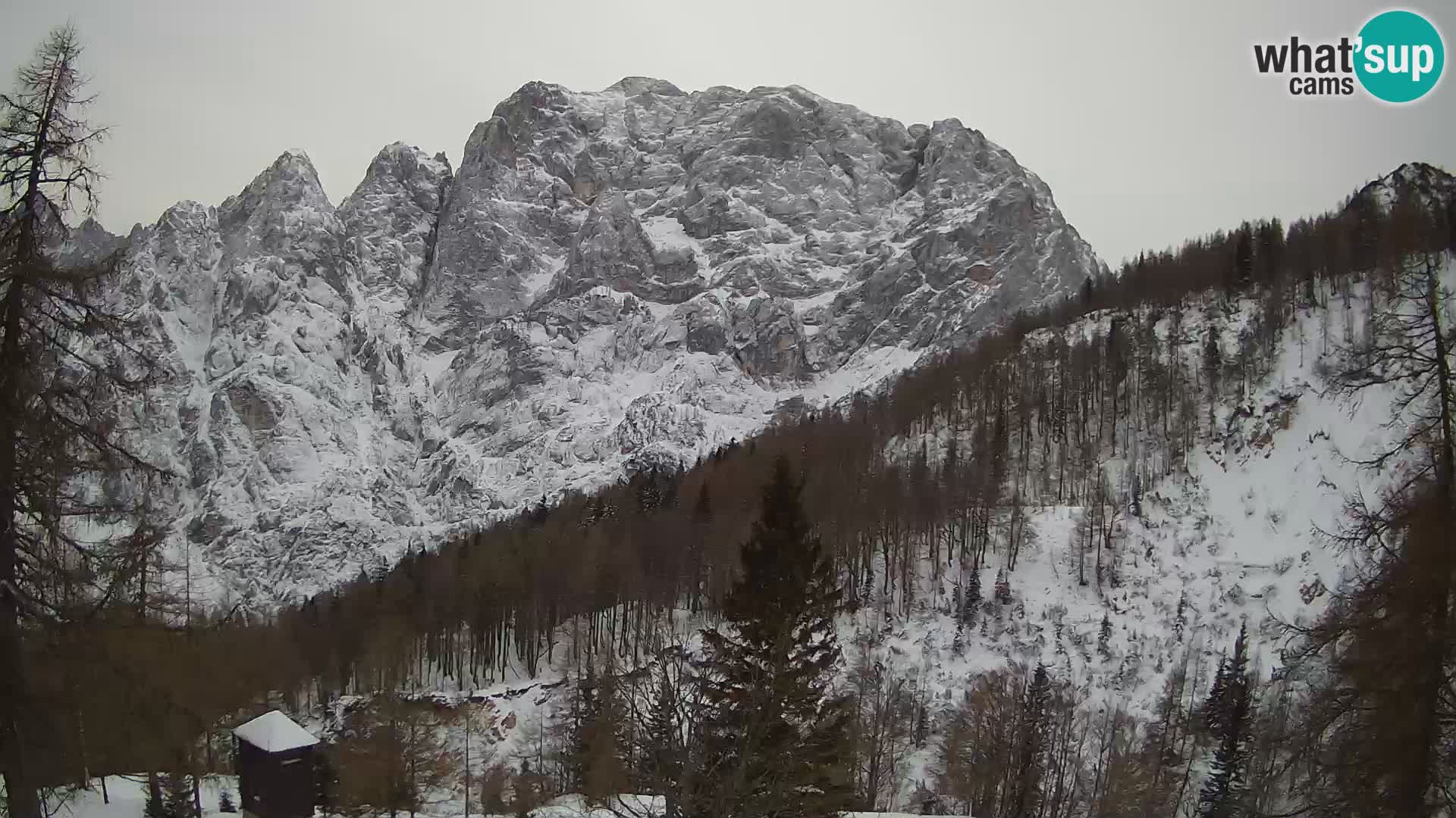 Webcam Vršič LIVE maison Erjavčeva – vue sur PRISOJNIK – Slovénie