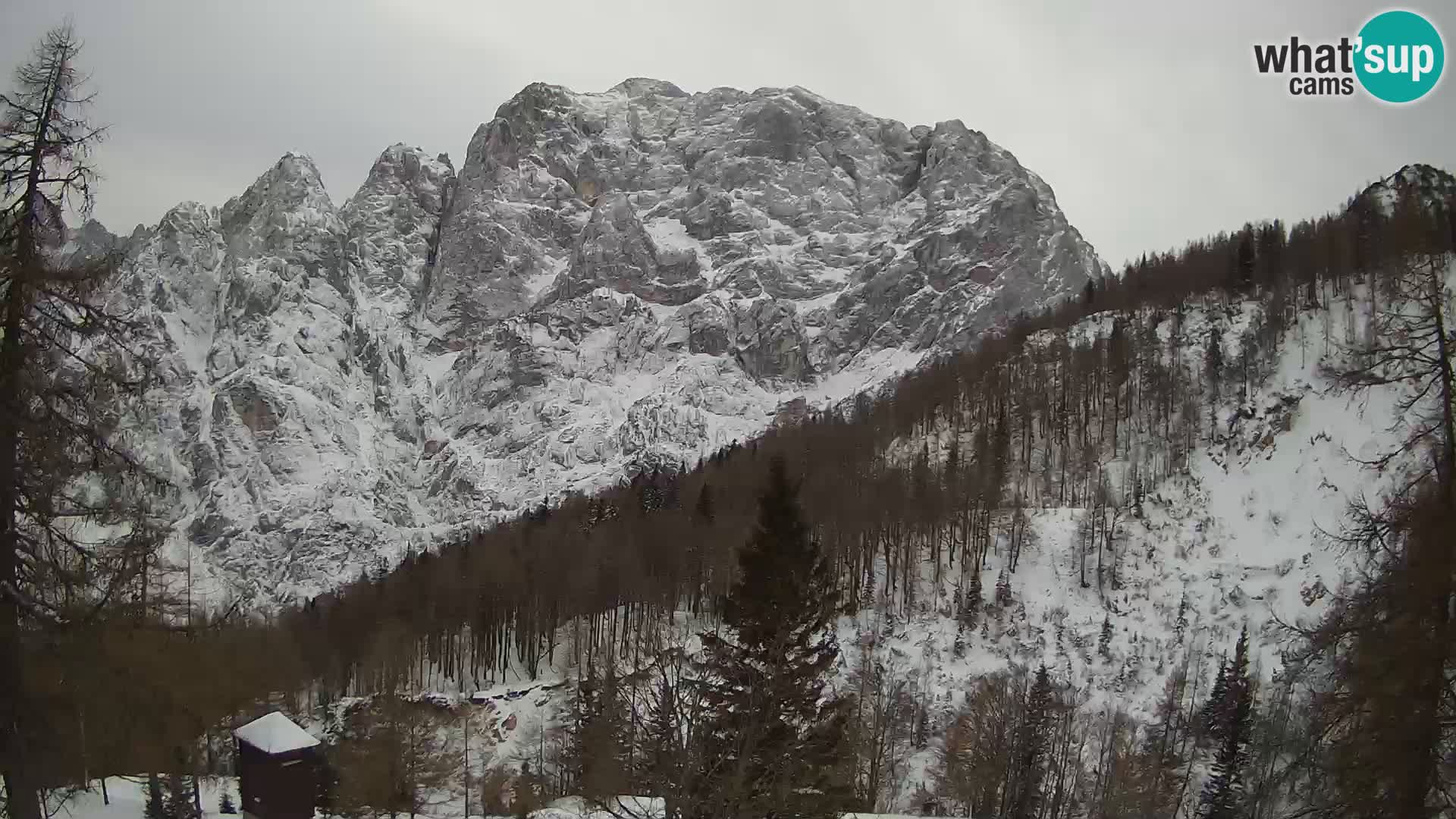 Vršič LIVE Webcam Haus Erjavčeva – Blick auf PRISOJNIK – Slowenien