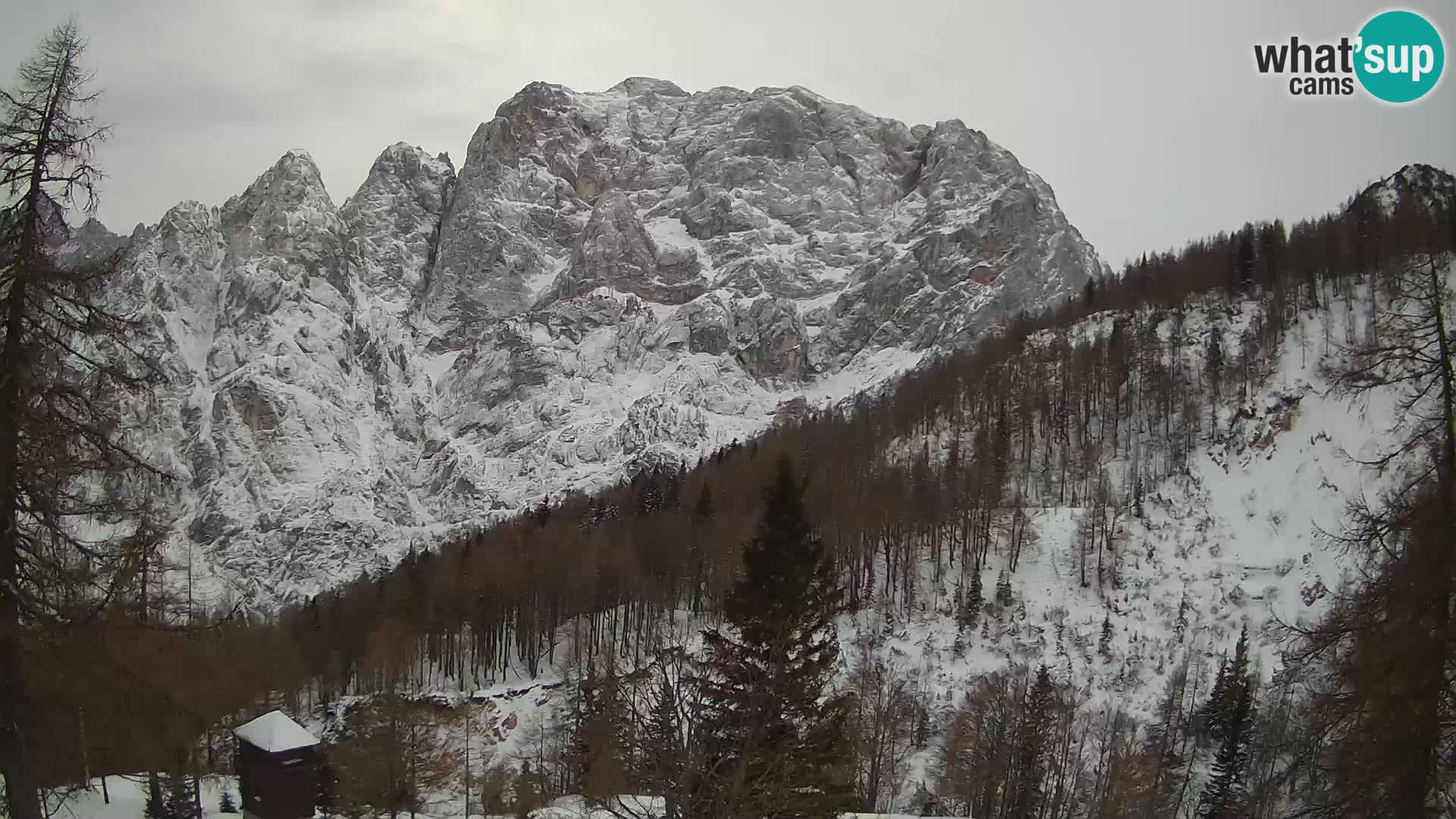 Vršič LIVE webcam casa Erjavčeva – vista sul PRISOJNIK – Slovenia