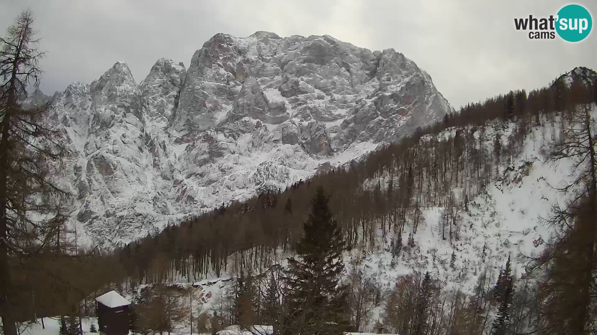 Vršič camera en vivo Casa Erjavčeva – vista a PRISOJNIK – Eslovenia