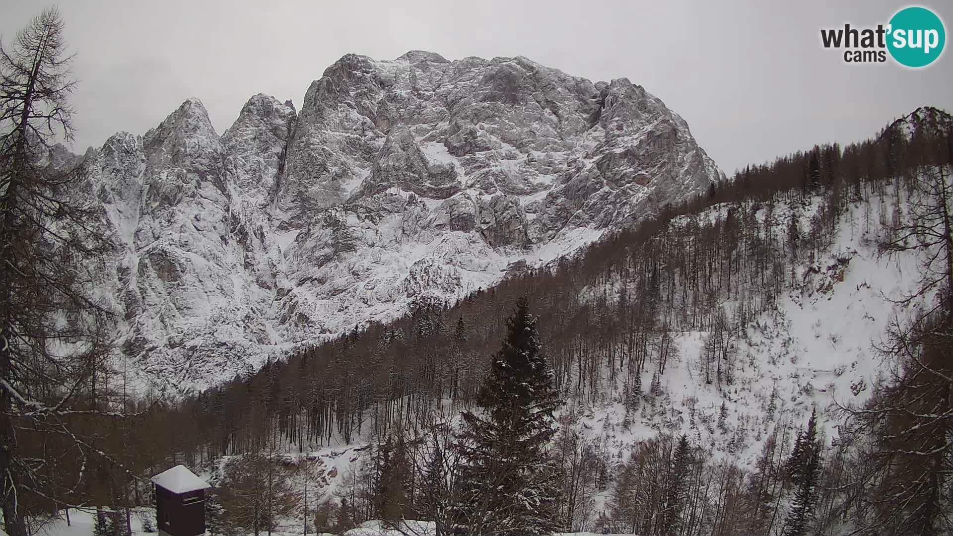 Vršič LIVE webcam Erjavčeva house – view to PRISOJNIK – Slovenia