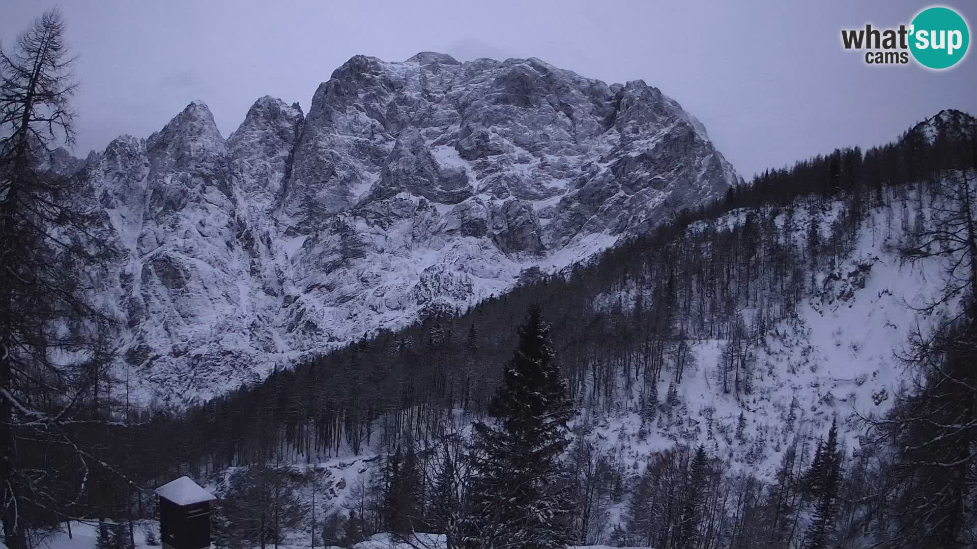 Vršič spletna kamera Erjavčeva hiša – pogled na PRISOJNIK