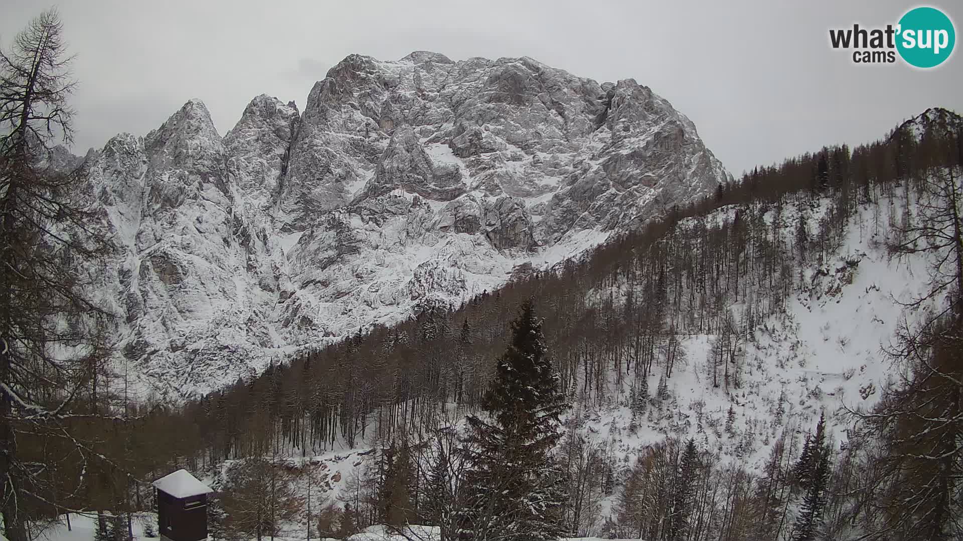 Vršič LIVE Webcam Haus Erjavčeva – Blick auf PRISOJNIK – Slowenien