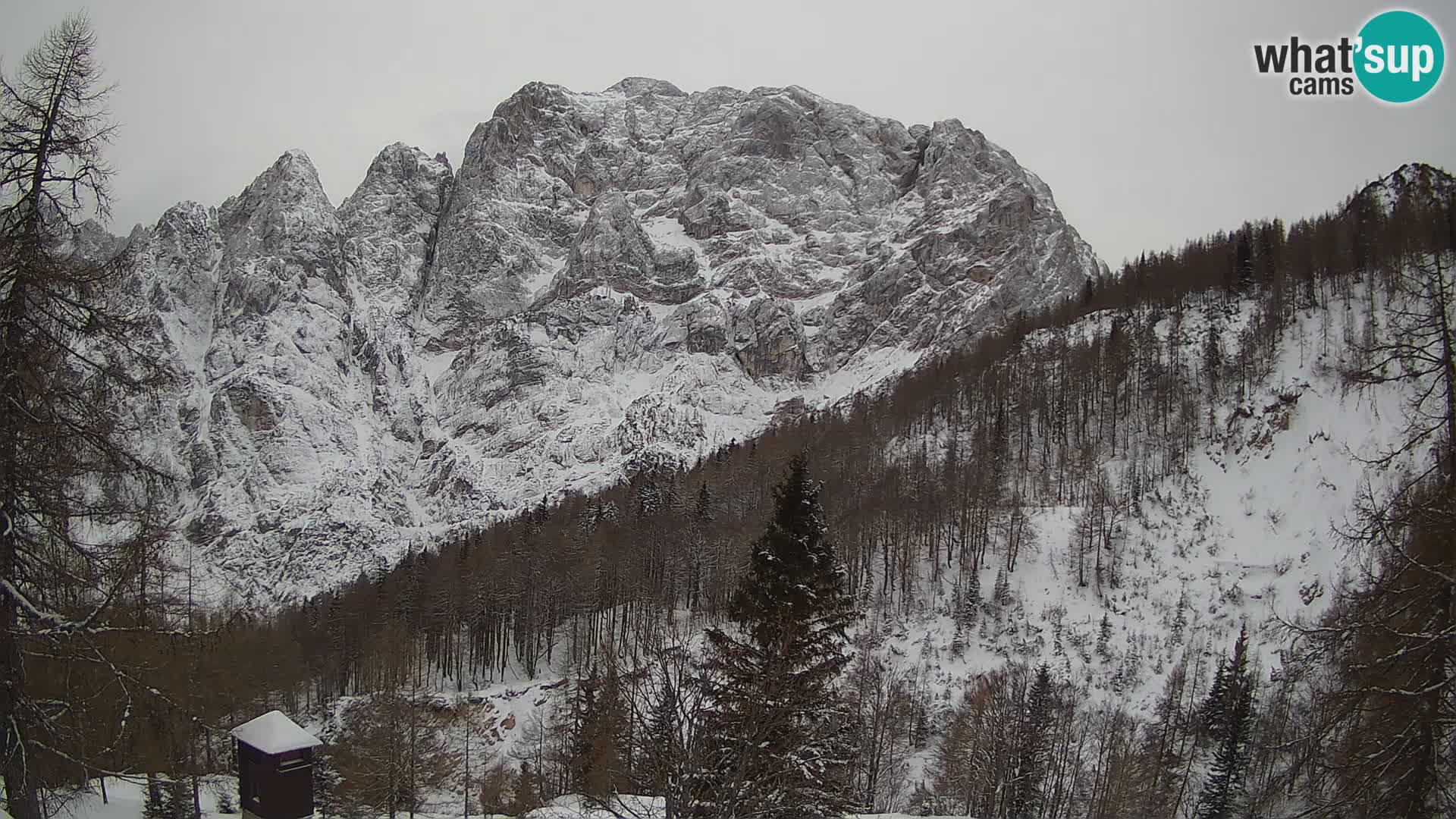 Vršič LIVE webcam casa Erjavčeva – vista sul PRISOJNIK – Slovenia